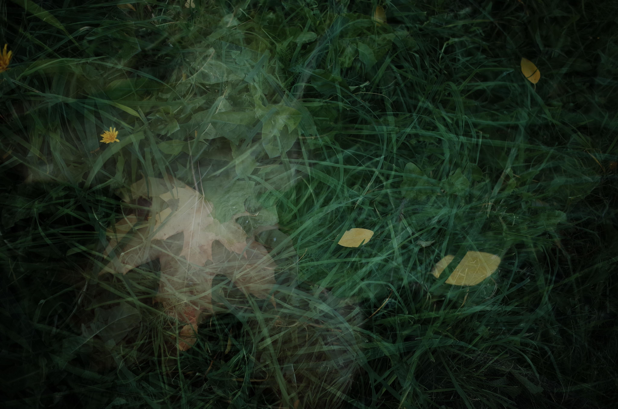 Little magic everythere. Виктория Дини. Арт-фотография