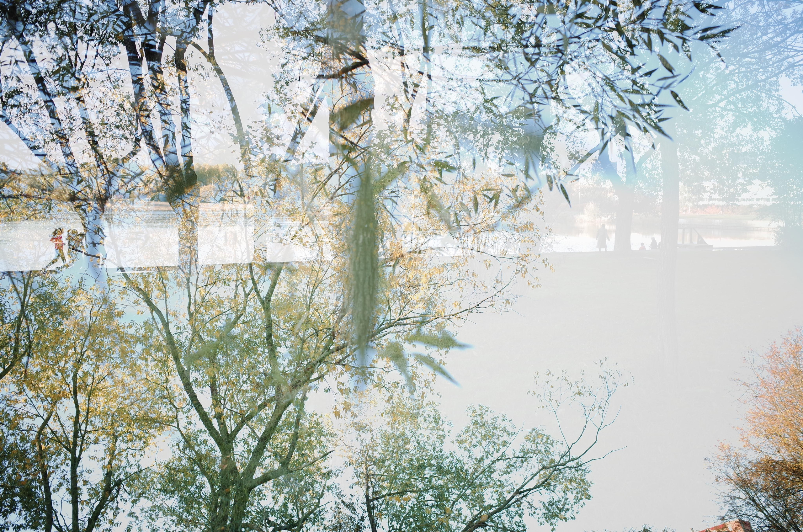 Little magic everythere. Виктория Дини. Арт-фотография