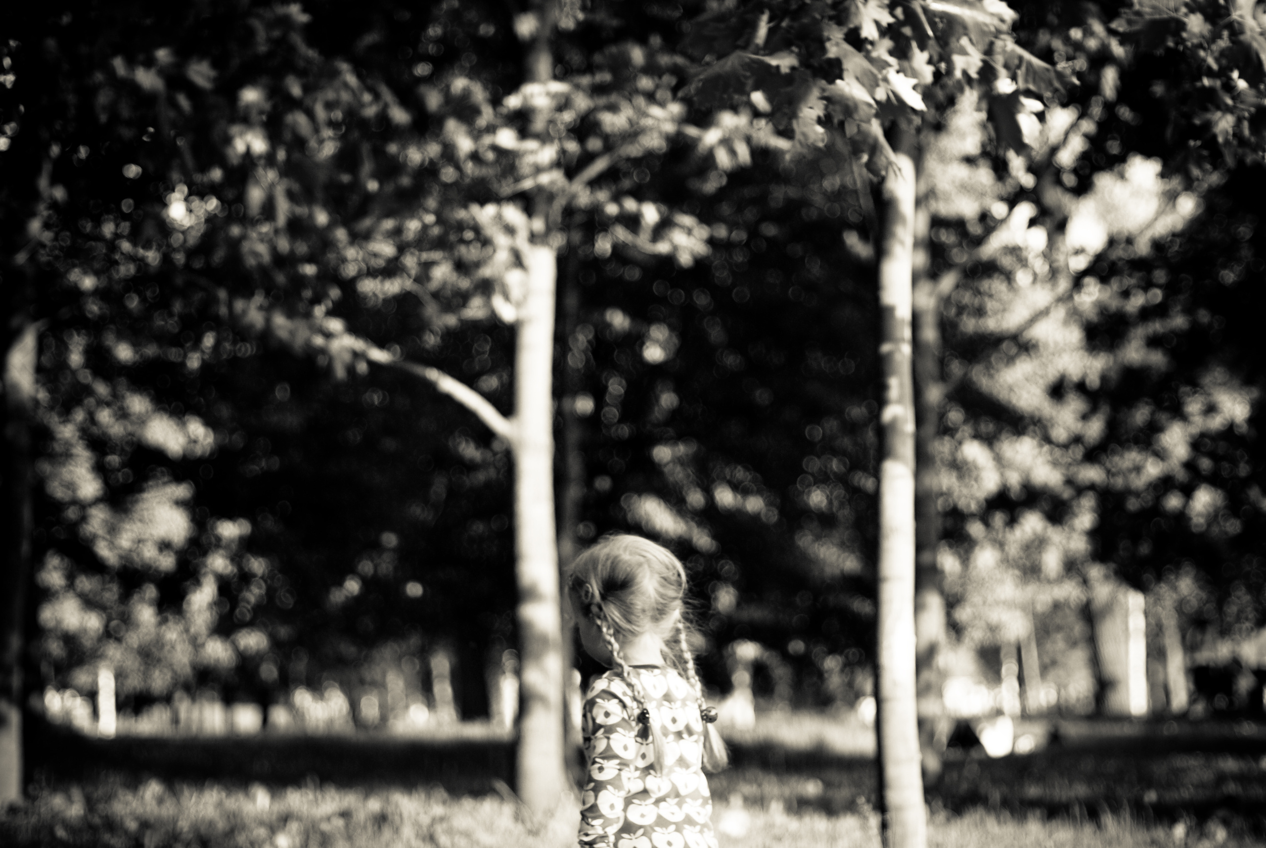 Яна, Катя и Таврический. Год спустя. Виктория Дини. Арт-фотография