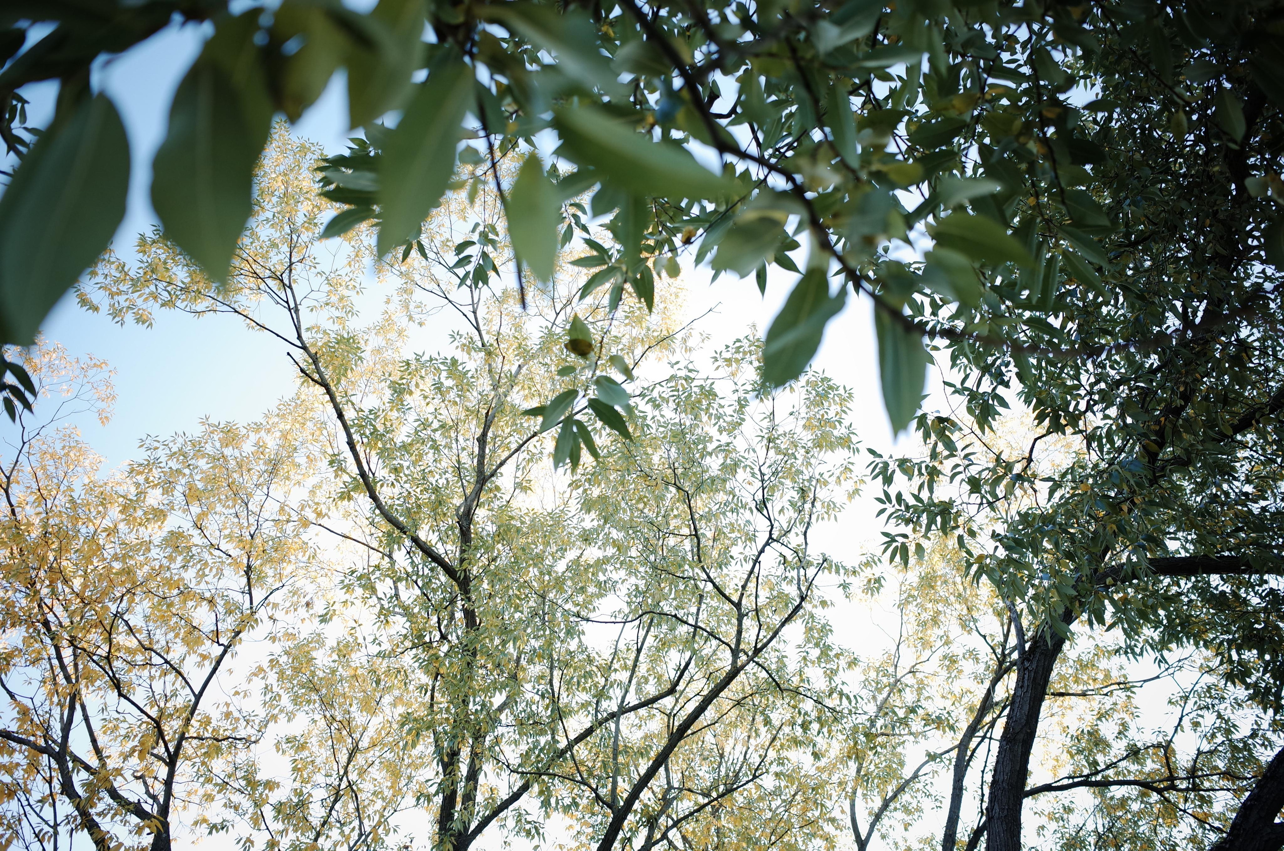 Little magic everythere. Виктория Дини. Арт-фотография