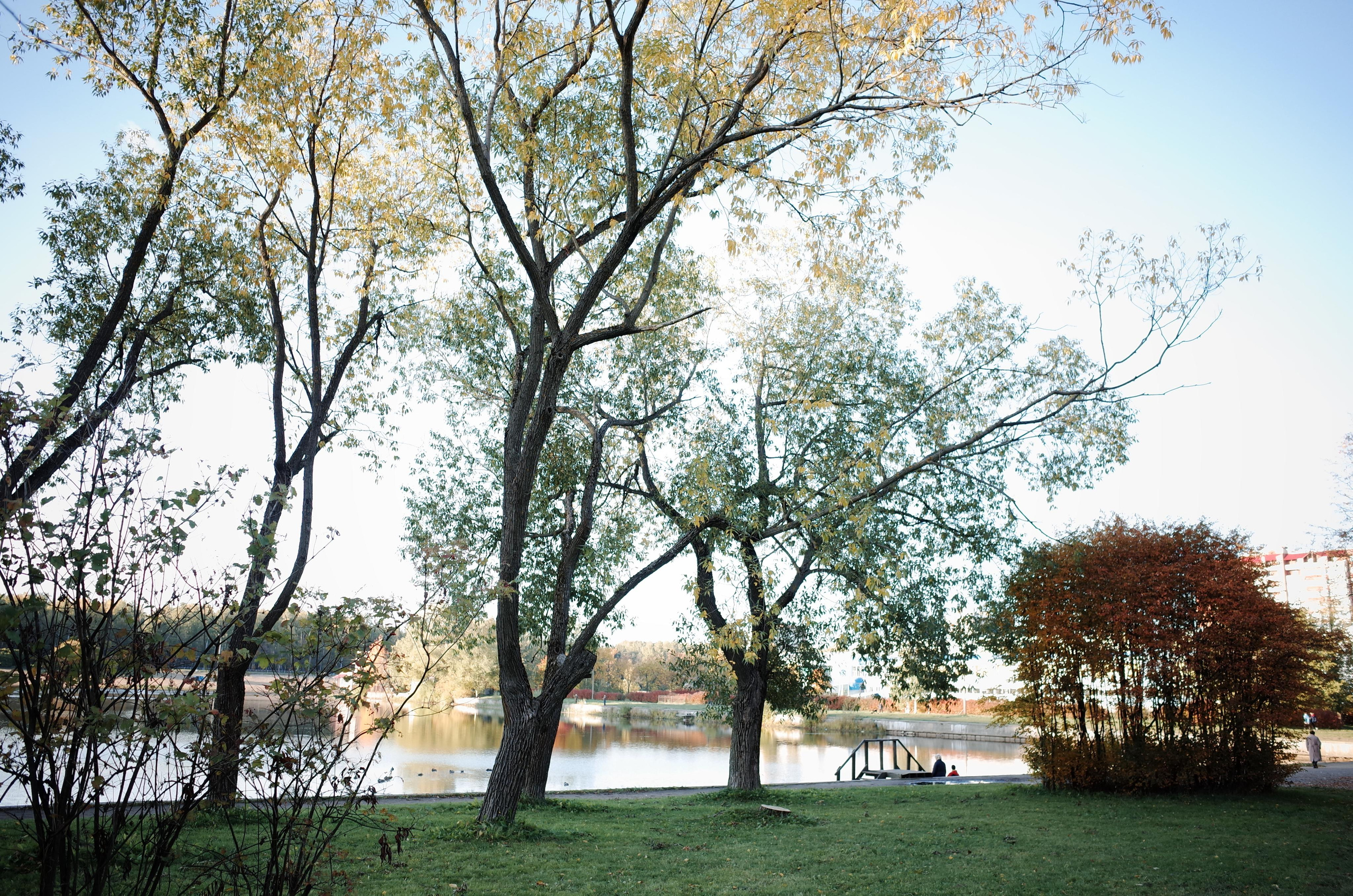 Little magic everythere. Виктория Дини. Арт-фотография