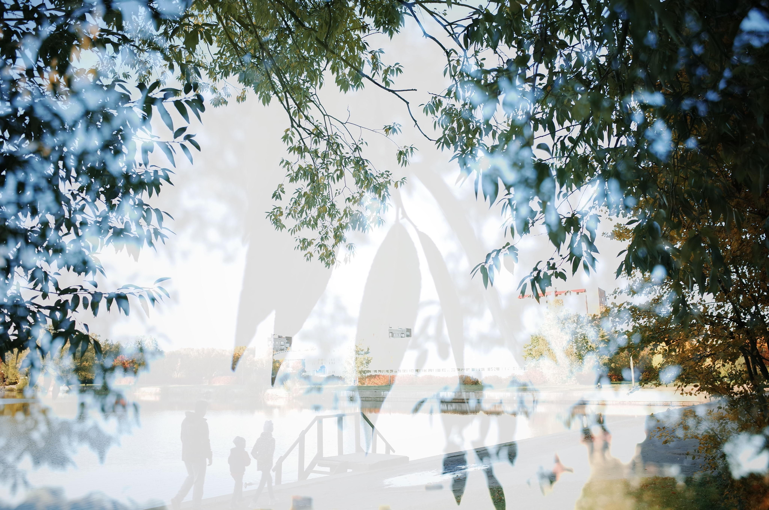 Little magic everythere. Виктория Дини. Арт-фотография