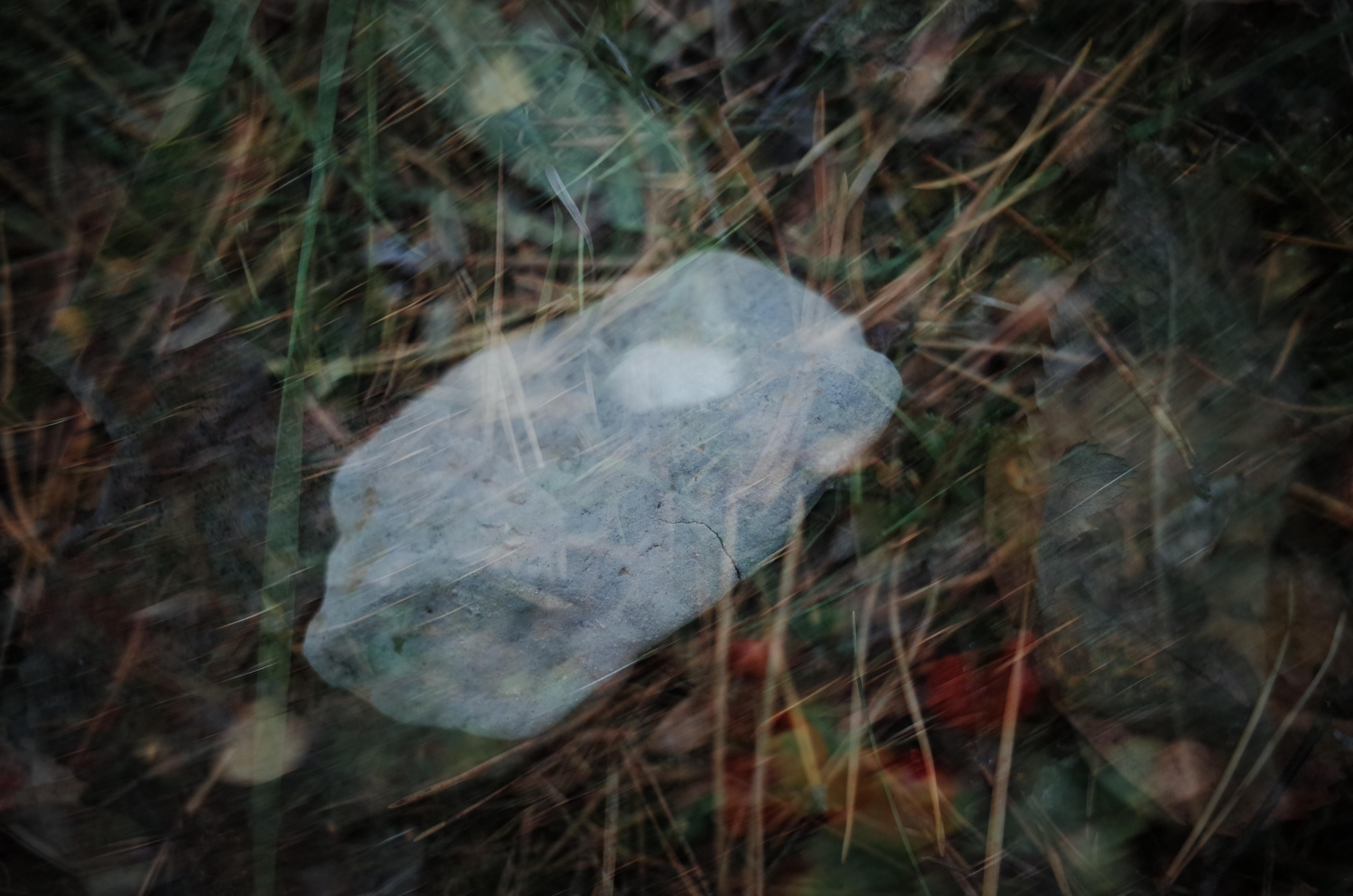 Little magic everythere. Виктория Дини. Арт-фотография