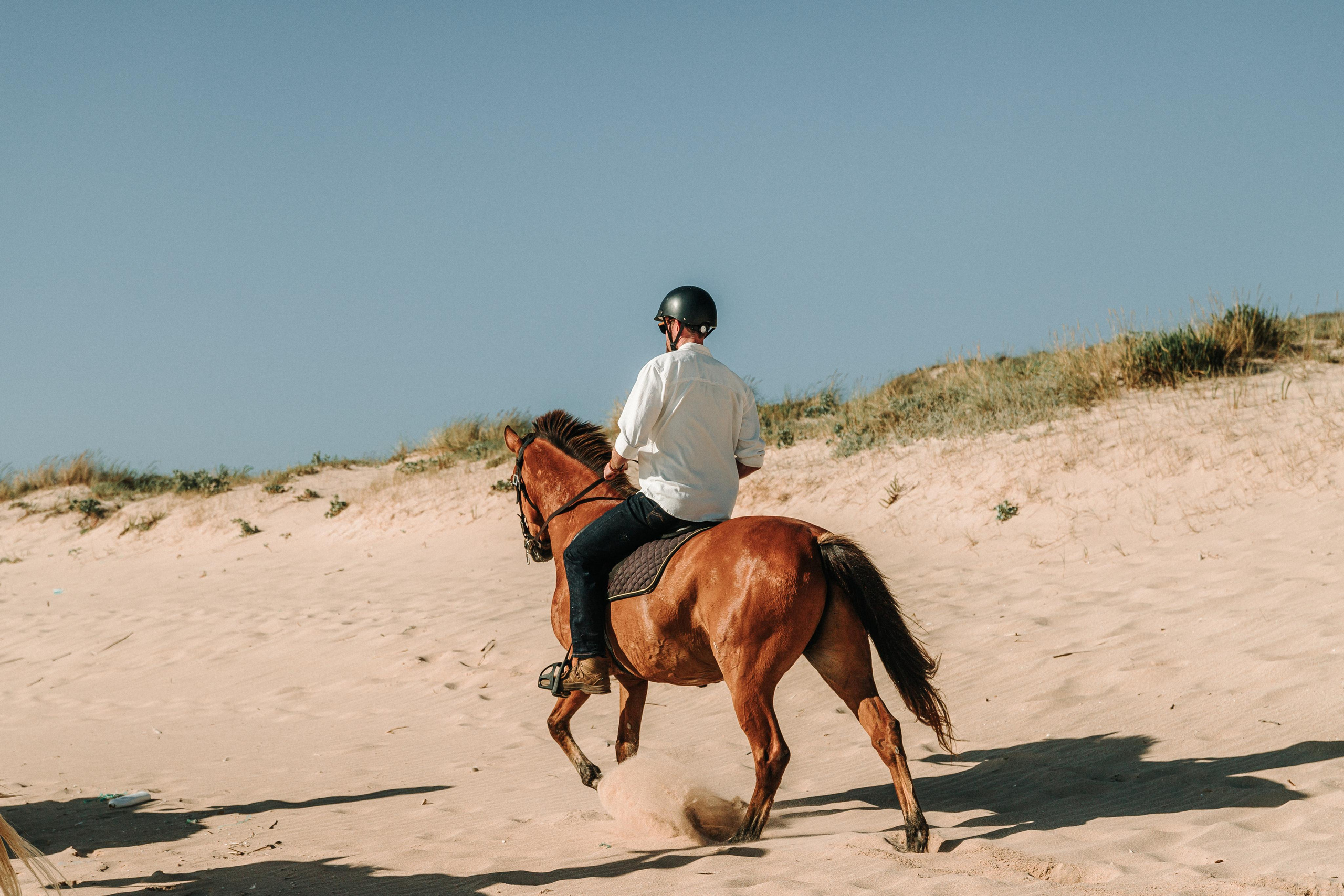 Eco Salgados Agroturismo — Laura & Nicolas. Passeios a Cavalo na Praia Peniche | Eco Salgados Agroturismo