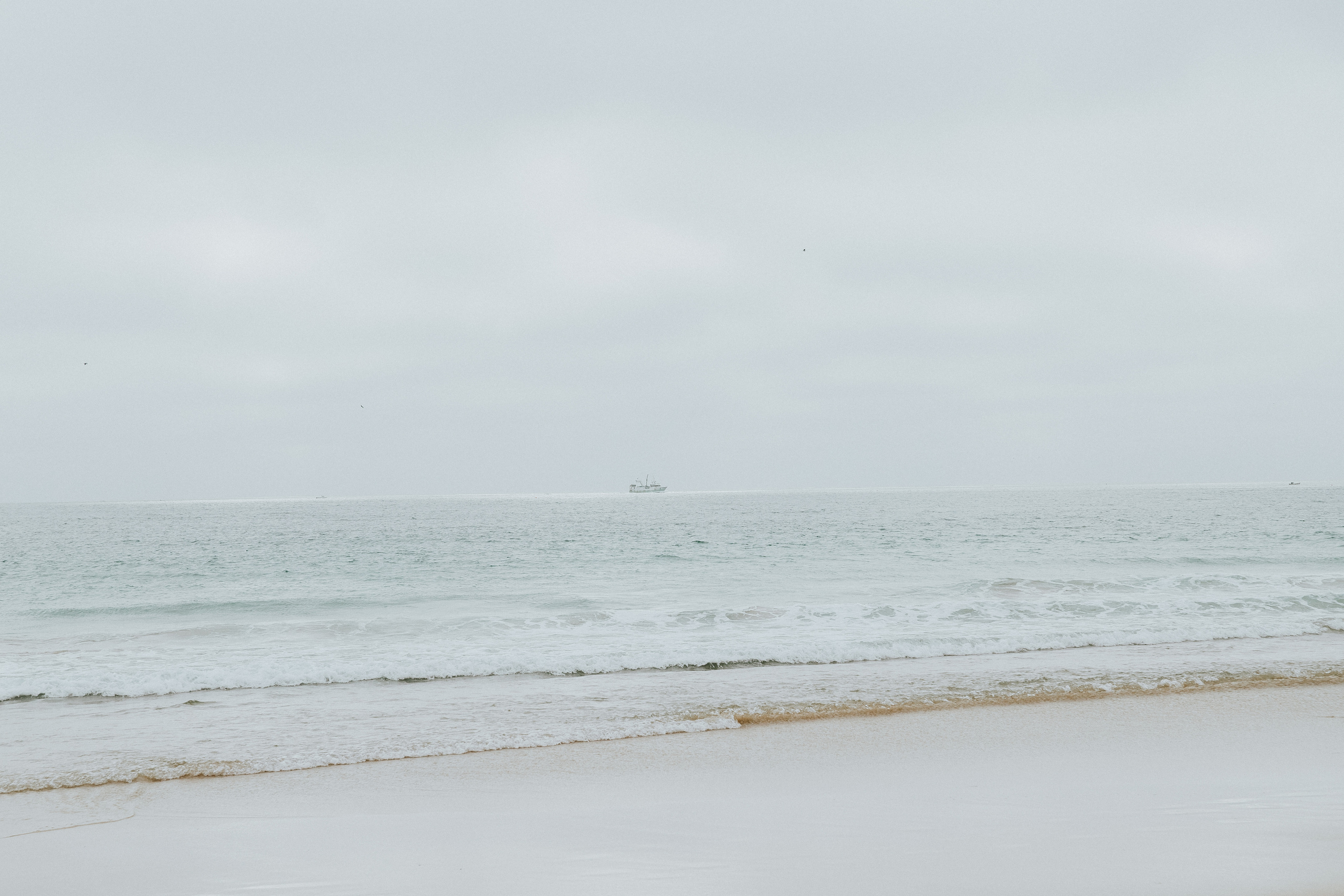 Eco Salgados Agroturismo — Méline & Joel. Passeios a Cavalo na Praia Peniche | Eco Salgados Agroturismo