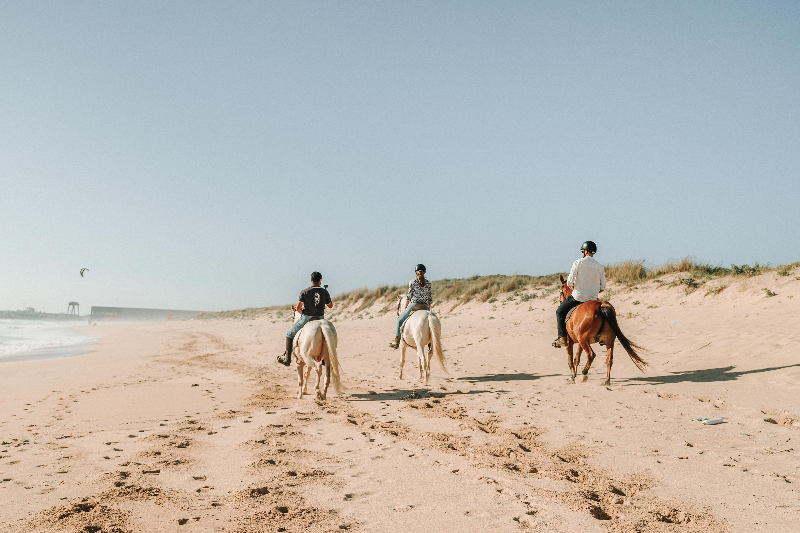 Eco Salgados Agroturismo — Laura & Nicolas. Passeios a Cavalo na Praia Peniche | Eco Salgados Agroturismo