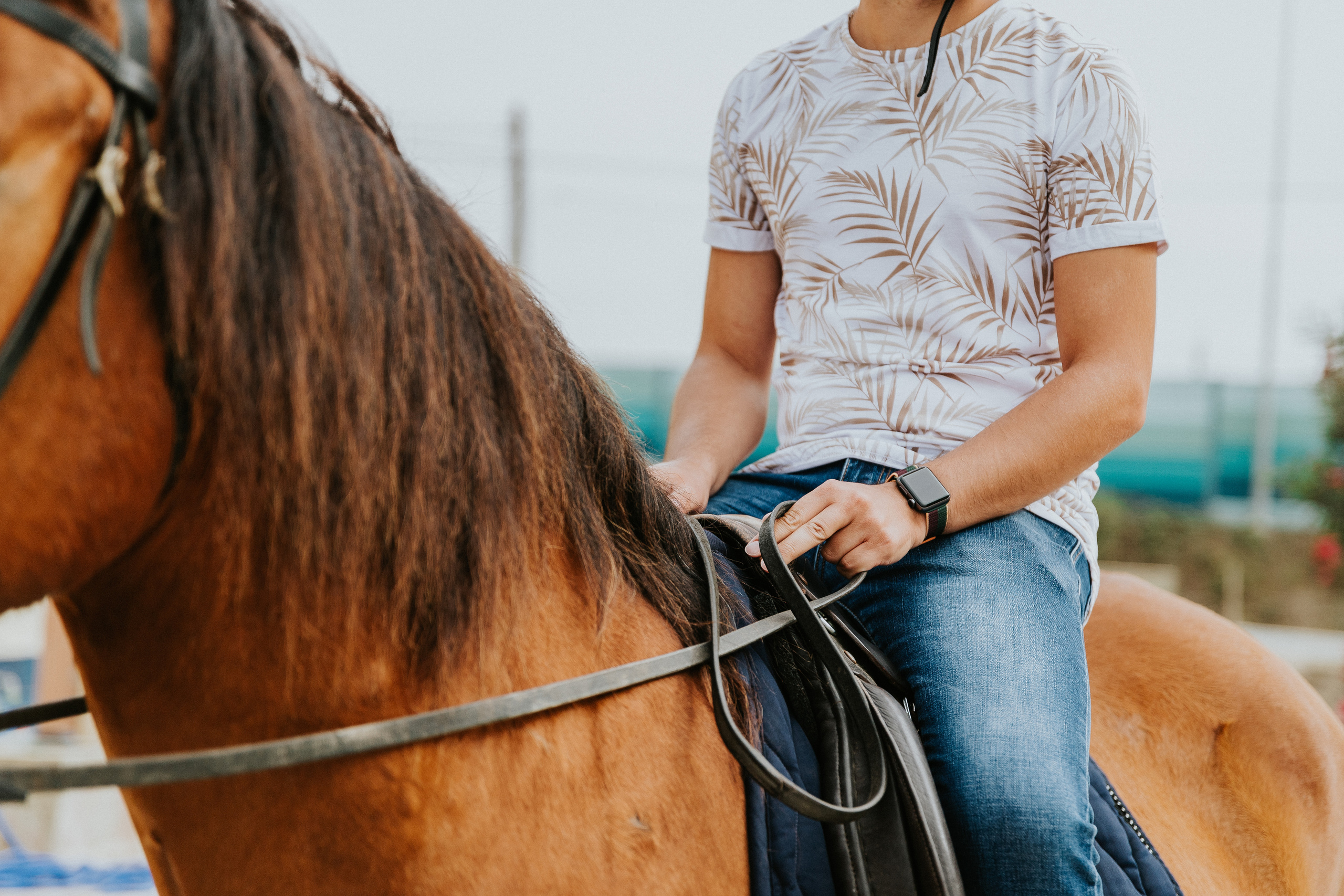 Eco Salgados Agroturismo — Méline & Joel. Passeios a Cavalo na Praia Peniche | Eco Salgados Agroturismo