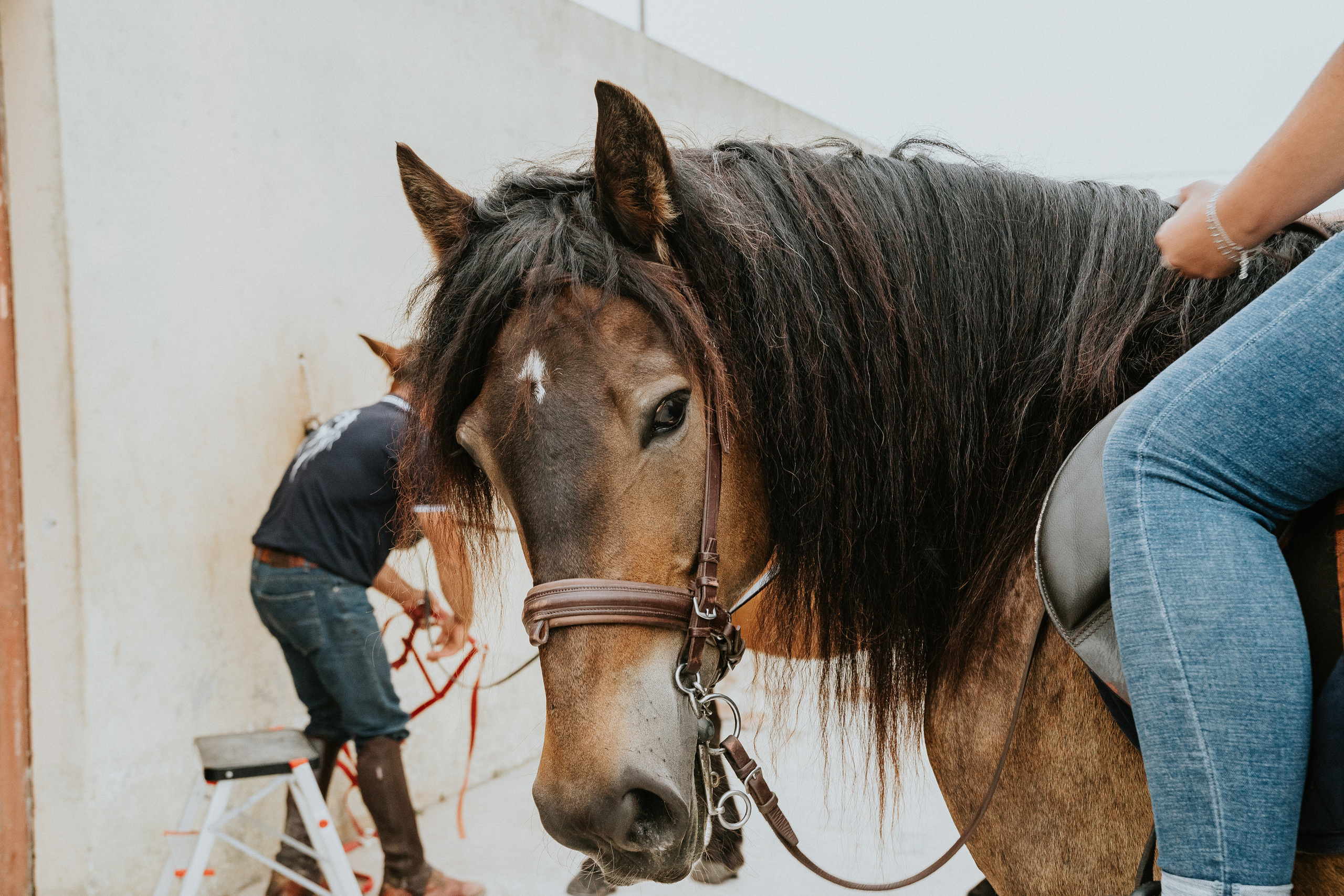 Eco Salgados Agroturismo — Méline & Joel. Passeios a Cavalo na Praia Peniche | Eco Salgados Agroturismo