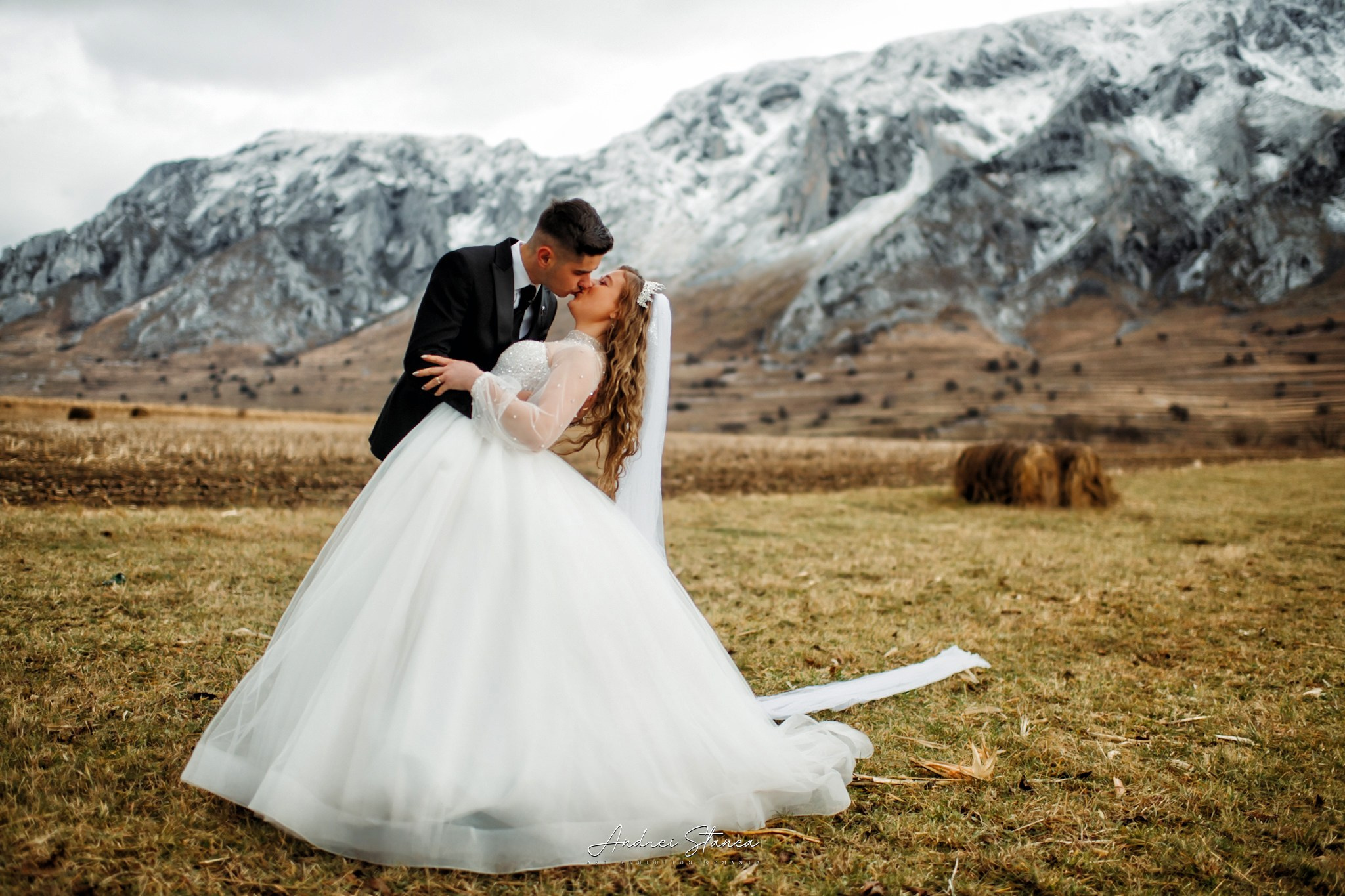 Dan & Daniela. Andrei Stanea