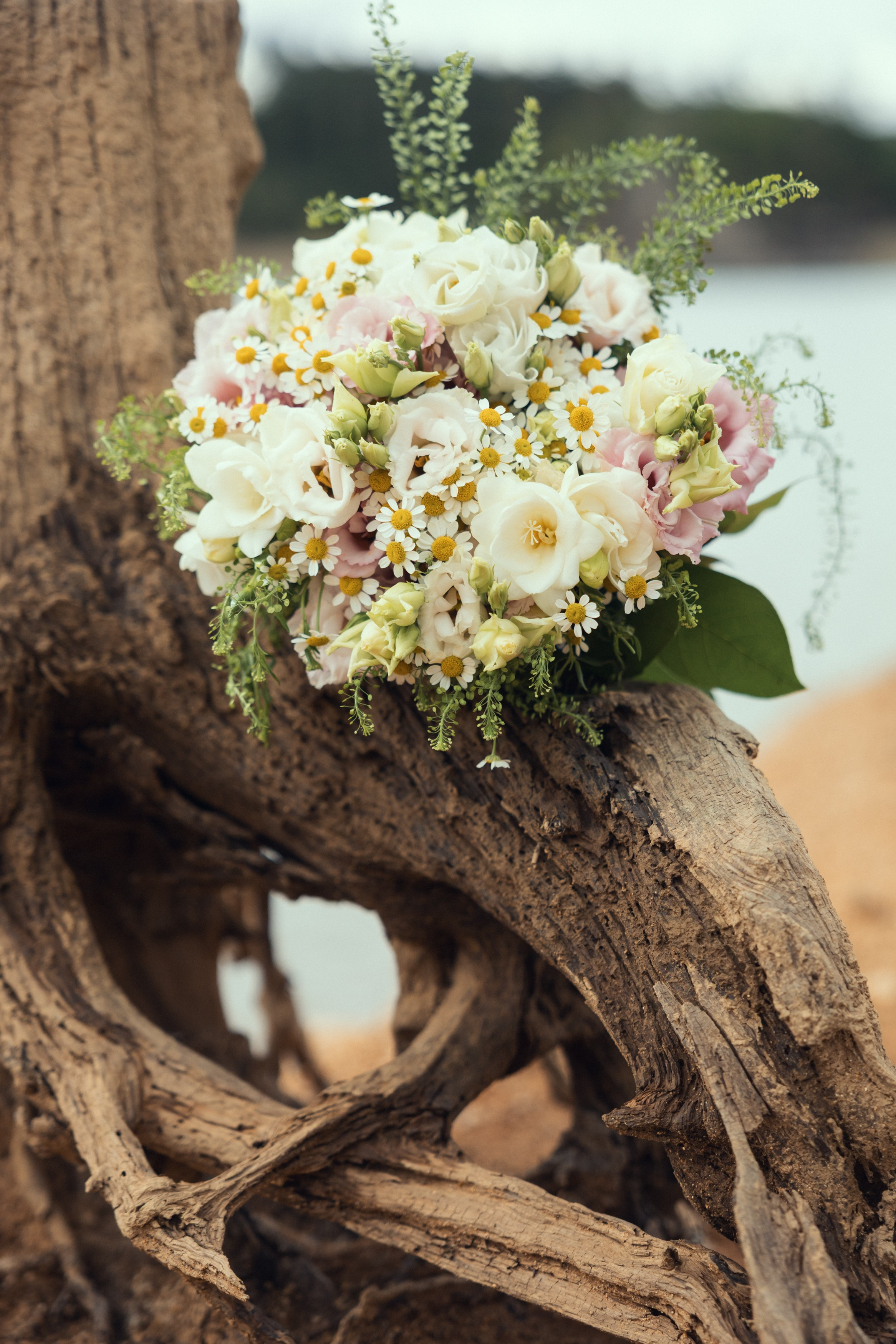 Anna & Tomáš. Lifestyle and Family Photographer in Pisek Oxana Telupilova