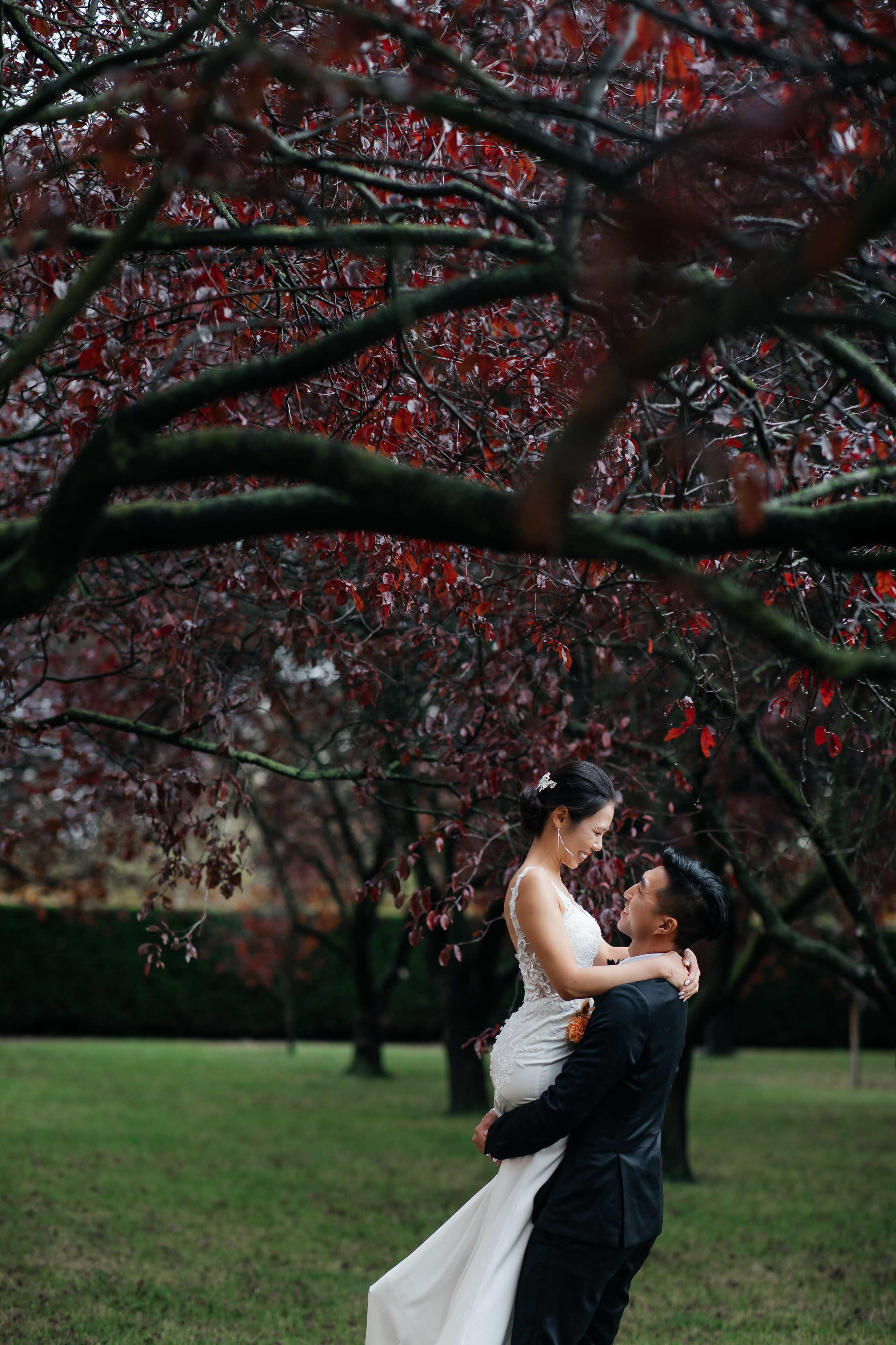 Romantischer Moment unter alten Bäumen – Liebe in ihrer schönsten Form