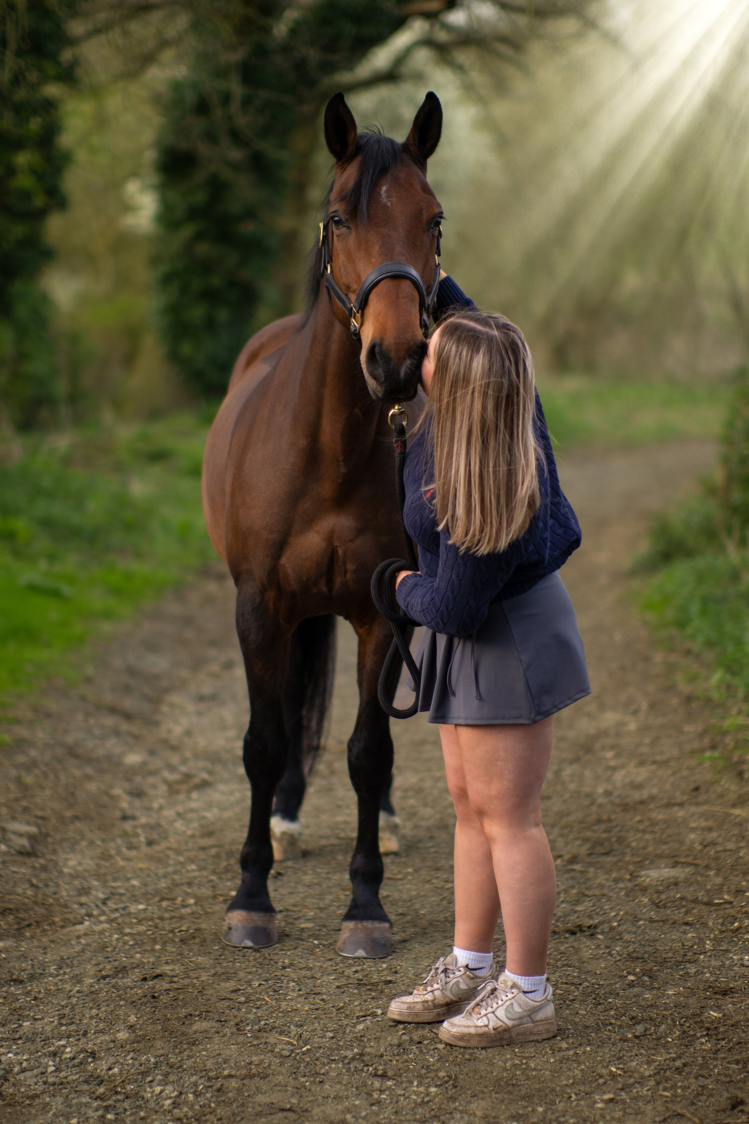 Beautiful horse posing naturally during rural photoshoot in Leicestershire