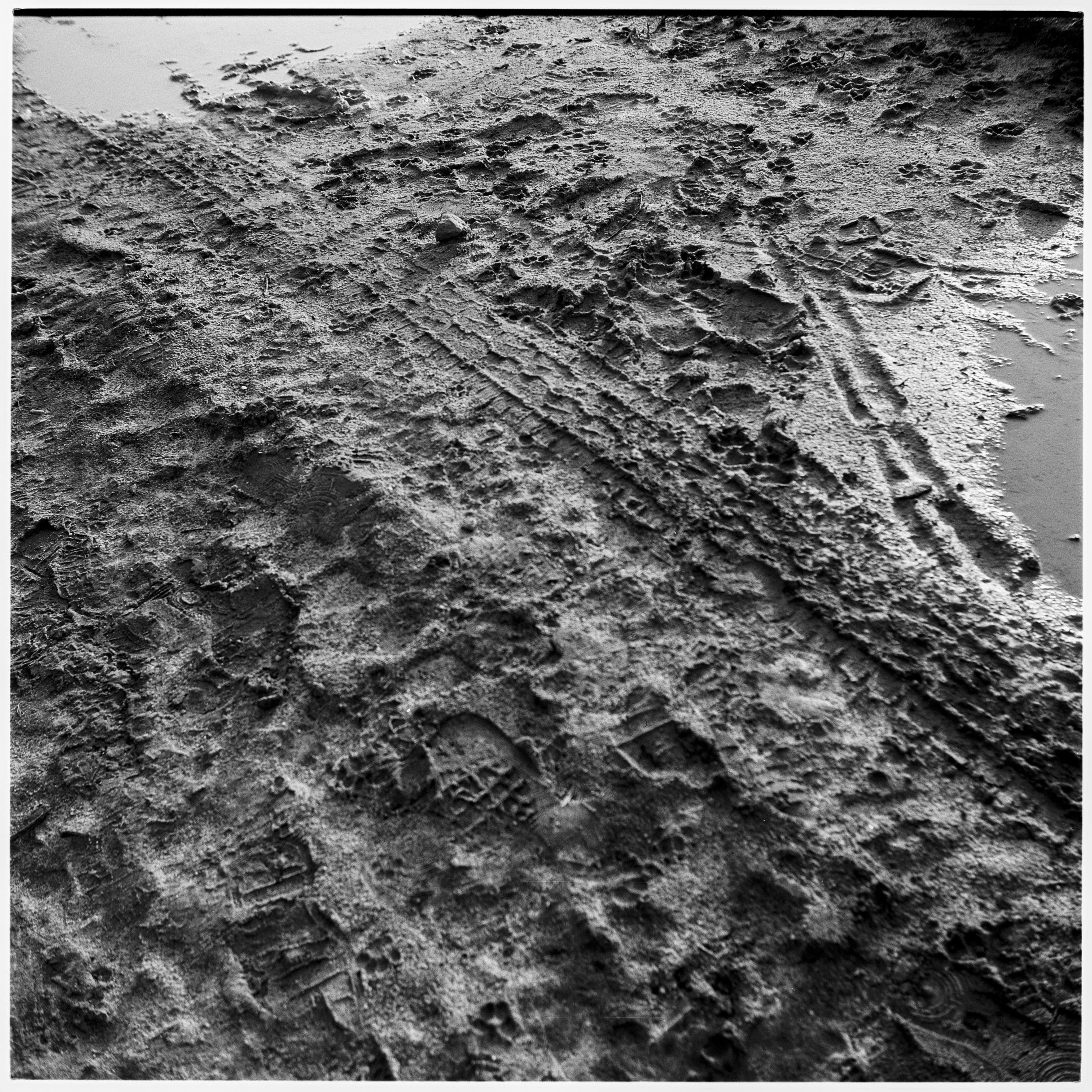 Analog Sketches. Anastasia Musinova