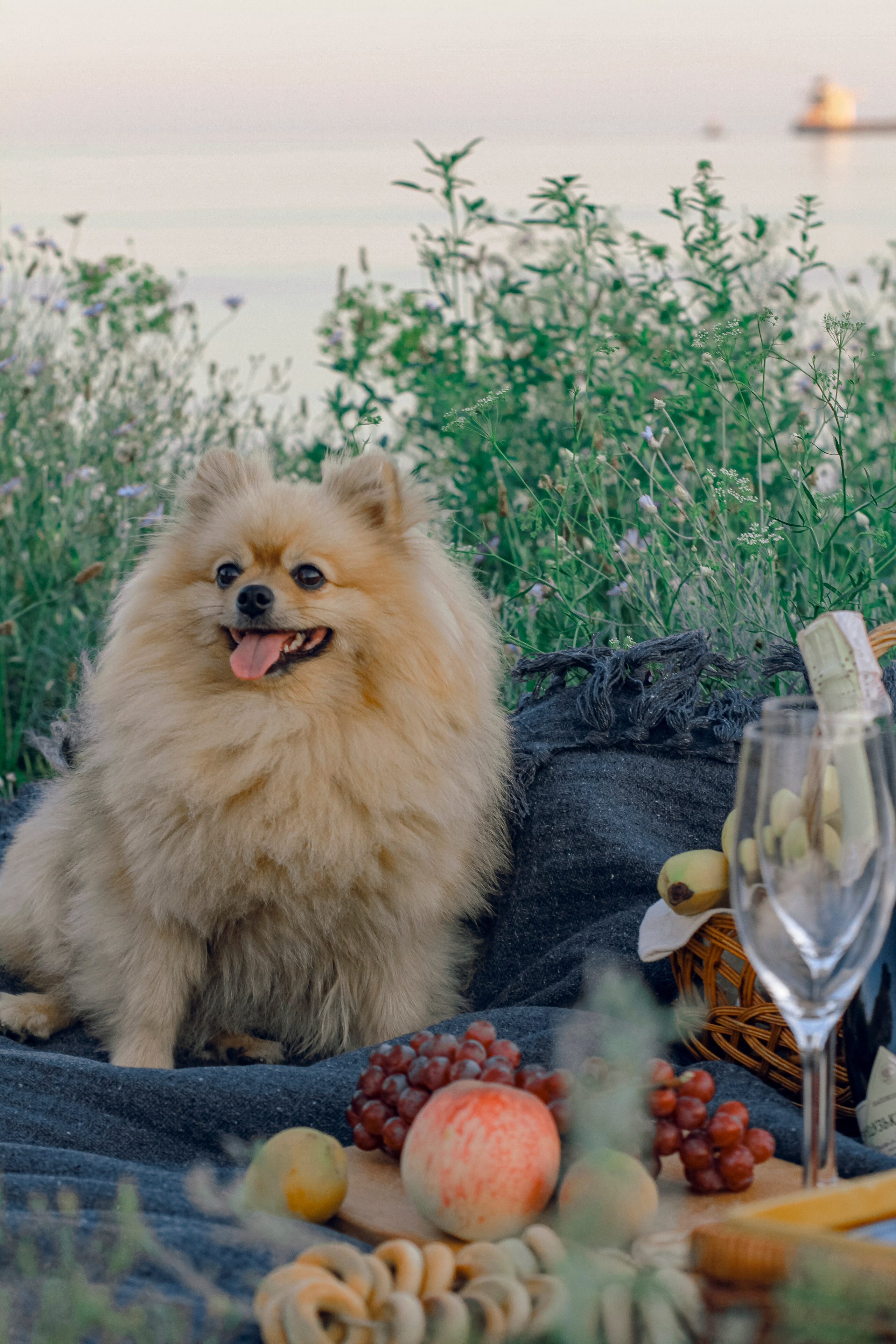 Victoria’s family. Iryna Zhyvora | Photographer | Stockholm