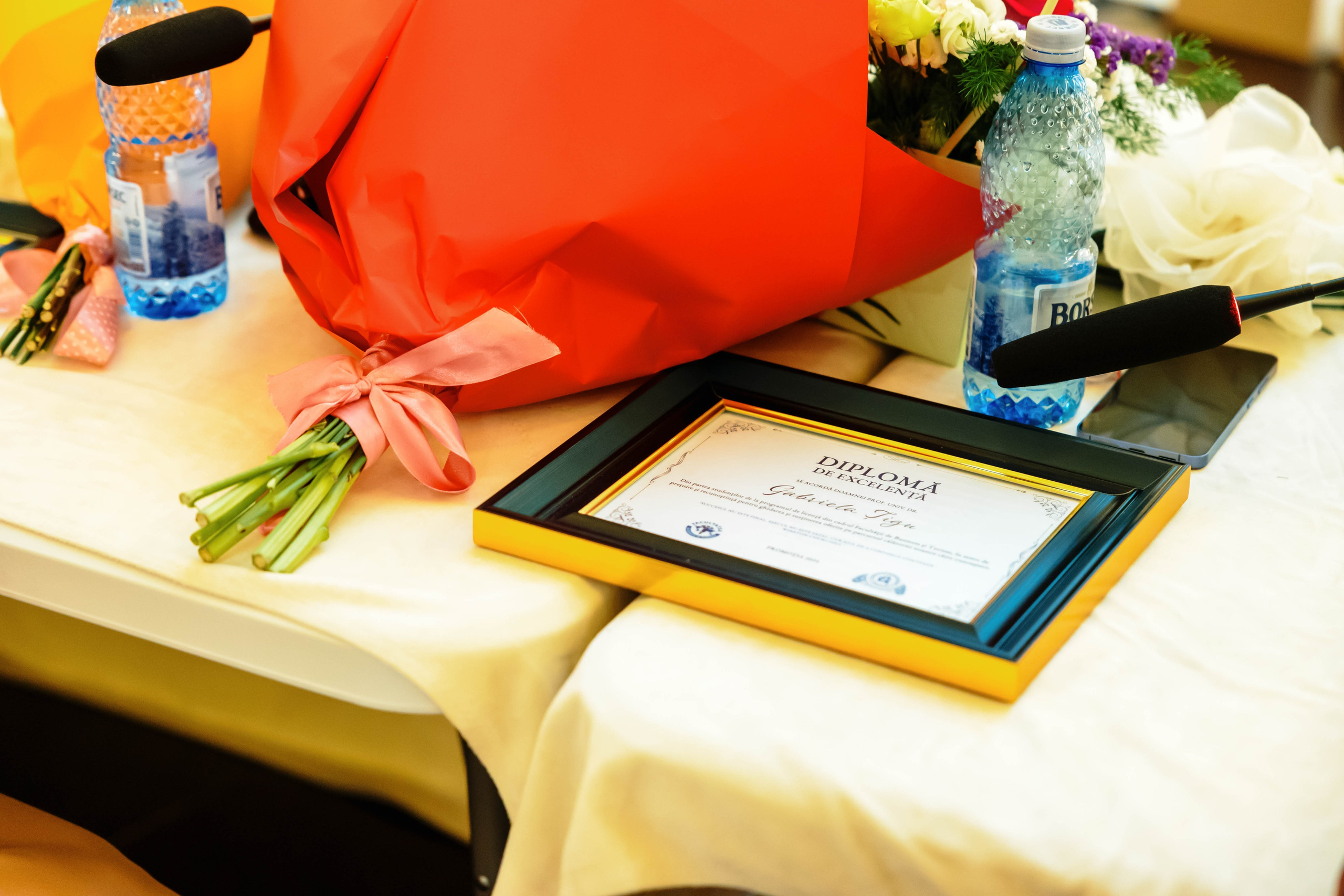 Festivitate Absolvire ASE 2024 - Palatul Parlamentului Bucuresti. MDimaFotoStudio. Fotograf de nuntă, evenimente private și de familie