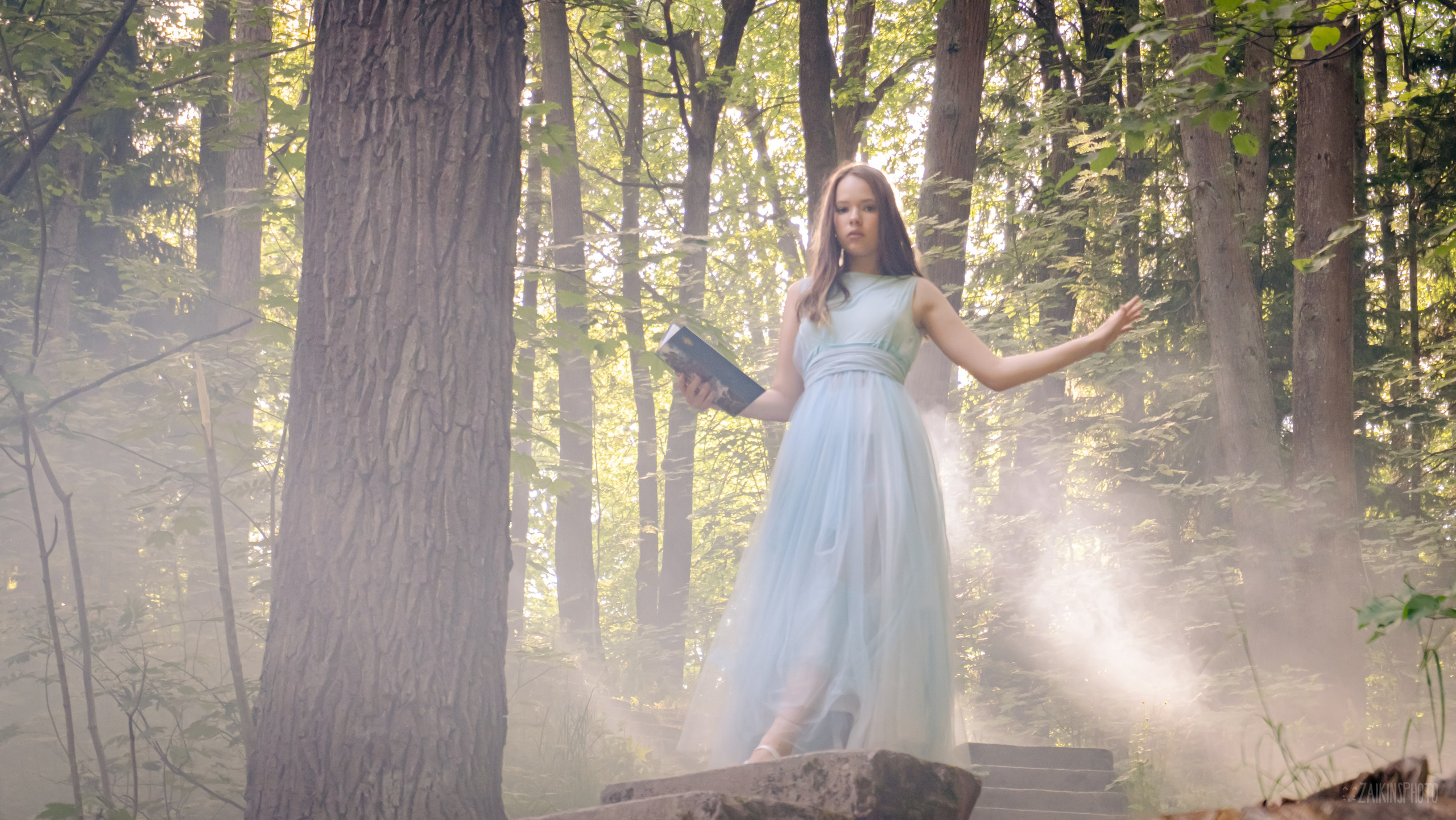 Alice In Wonderland. Main