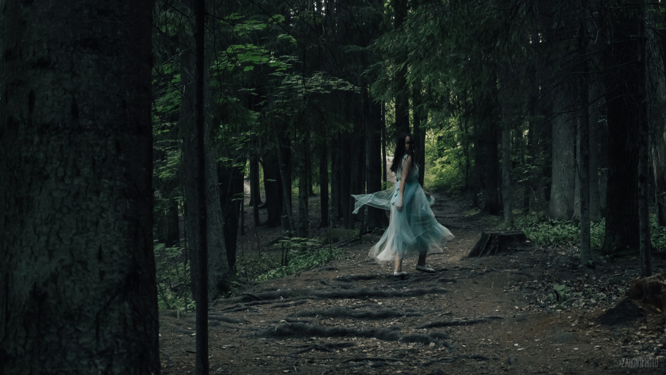 Alice In Wonderland. Main