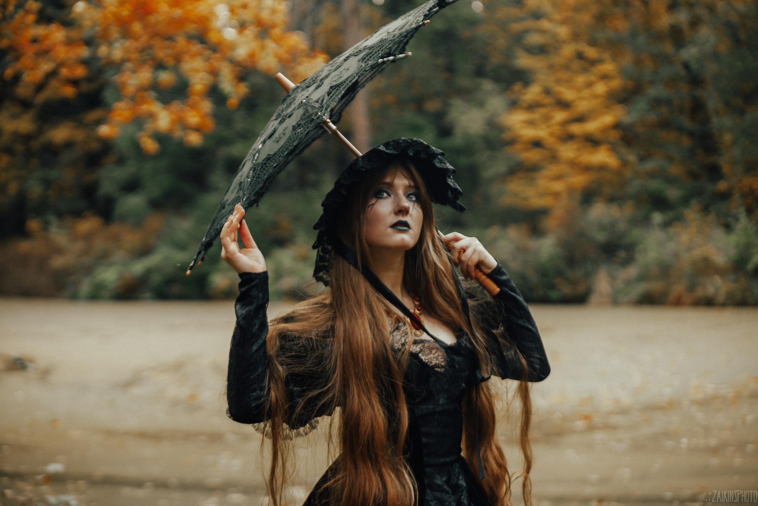 The Dark Autumn. Main