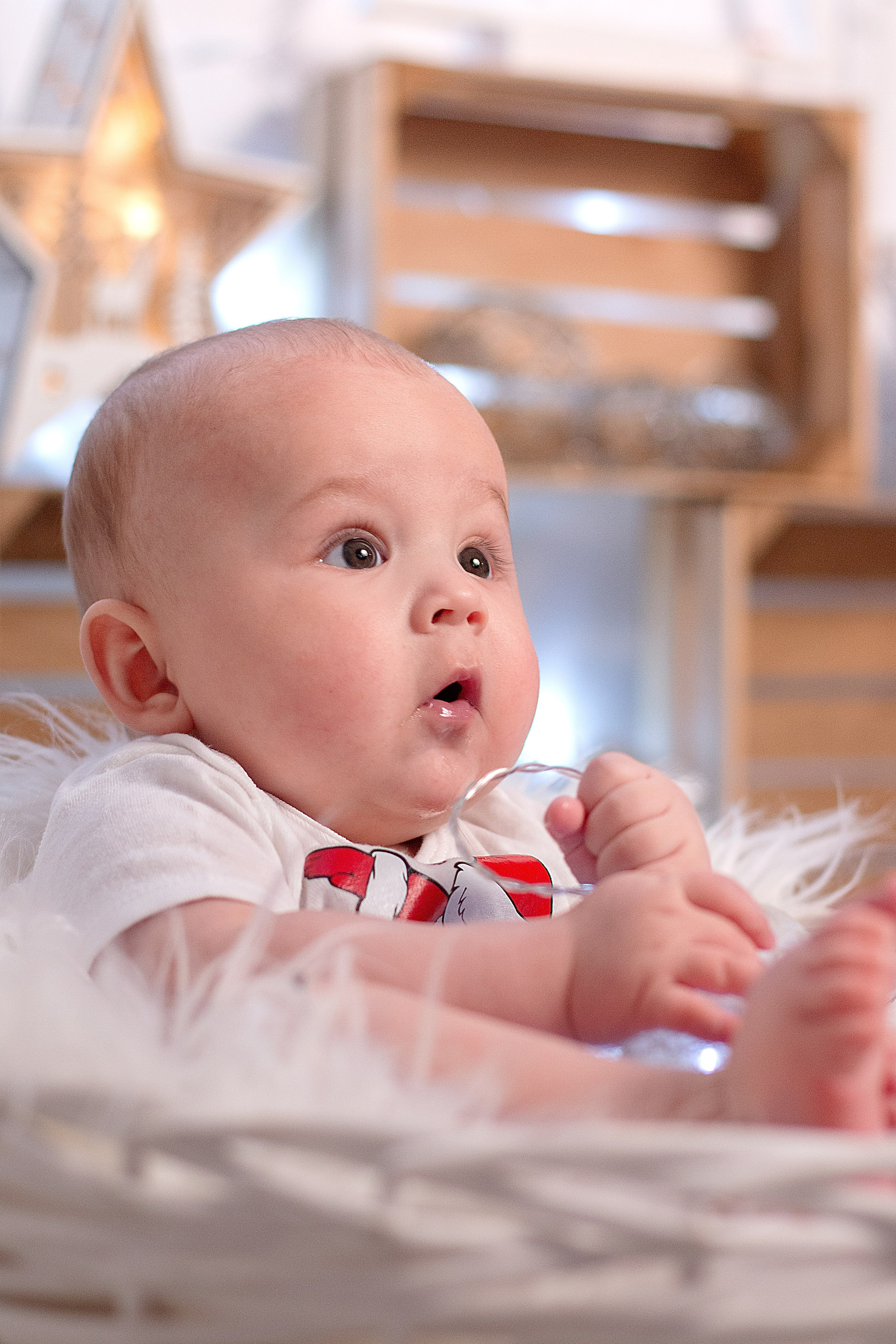 Новый год в студии. Детский и семейный фотограф в г. Бельцы