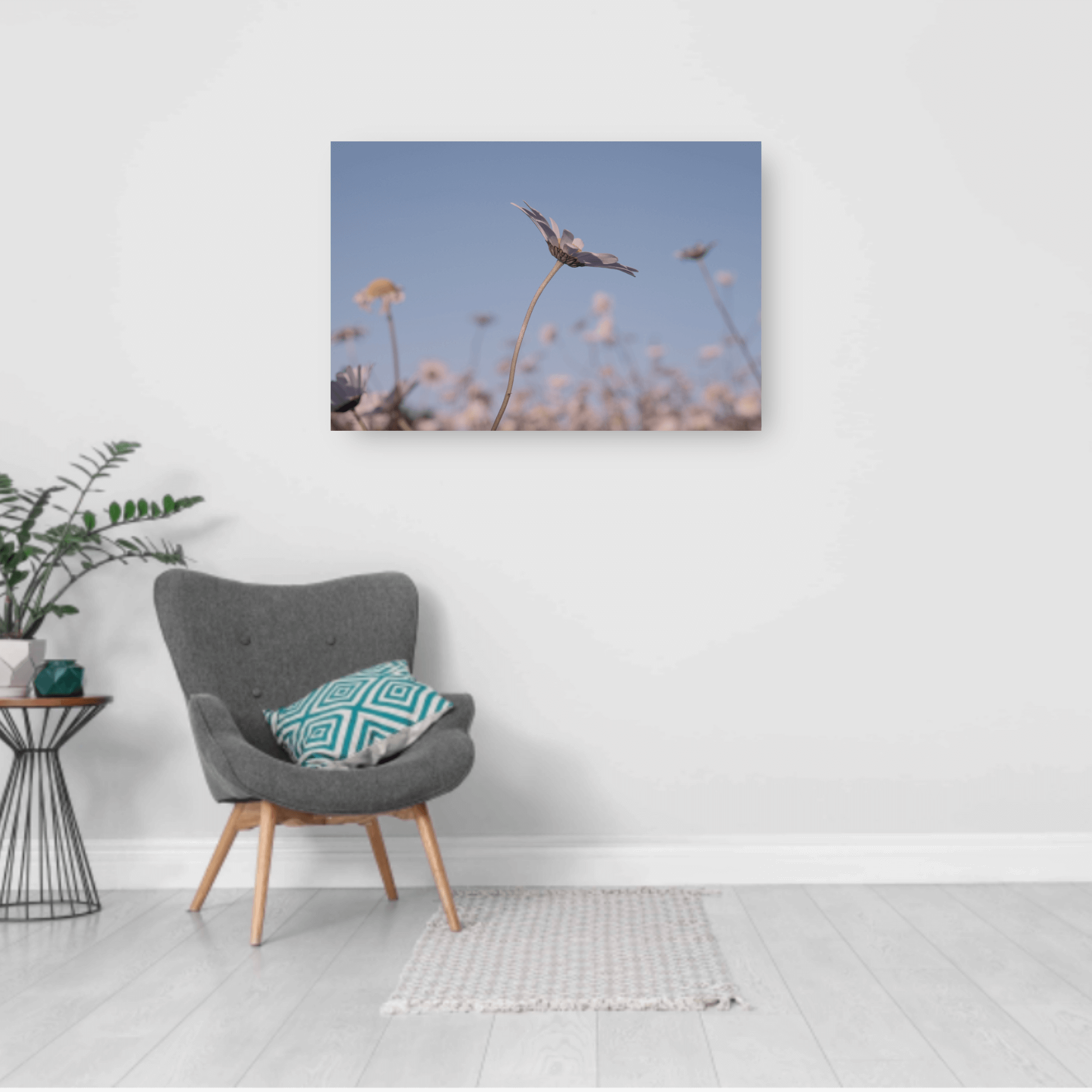 DAISIES. Natalja Poplavska — Visual artist, Photographer, East Sussex, London