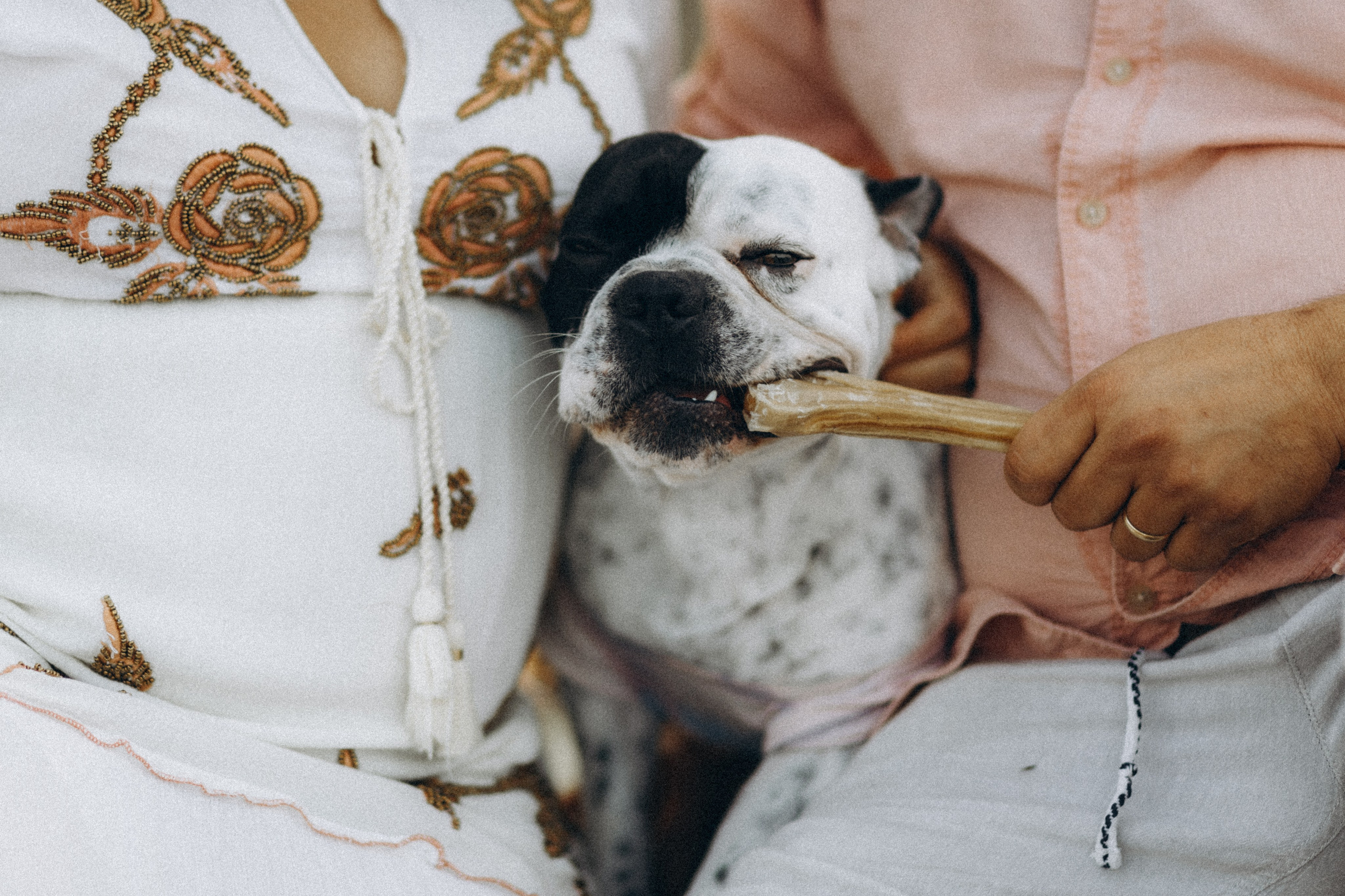 Беременность. Главная