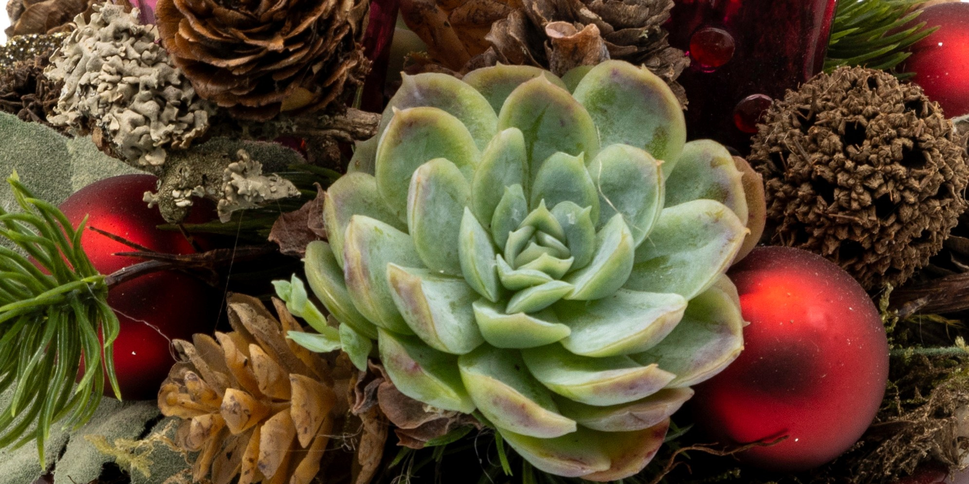 Jul i Aarhus. Akropolis Blomster | Din døgn blomsterbutik i Aarhus