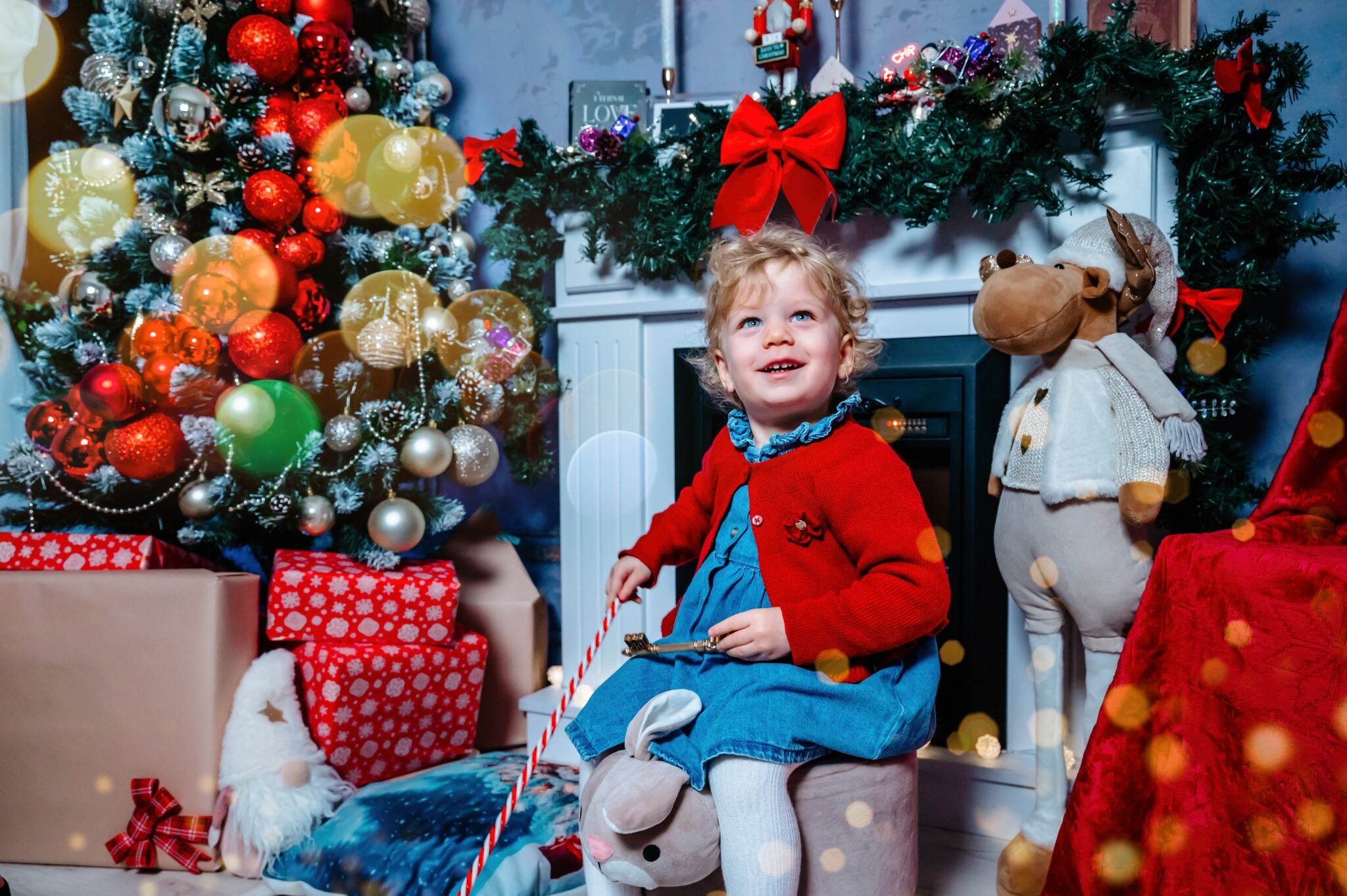 Sedinta Craciun Lucian