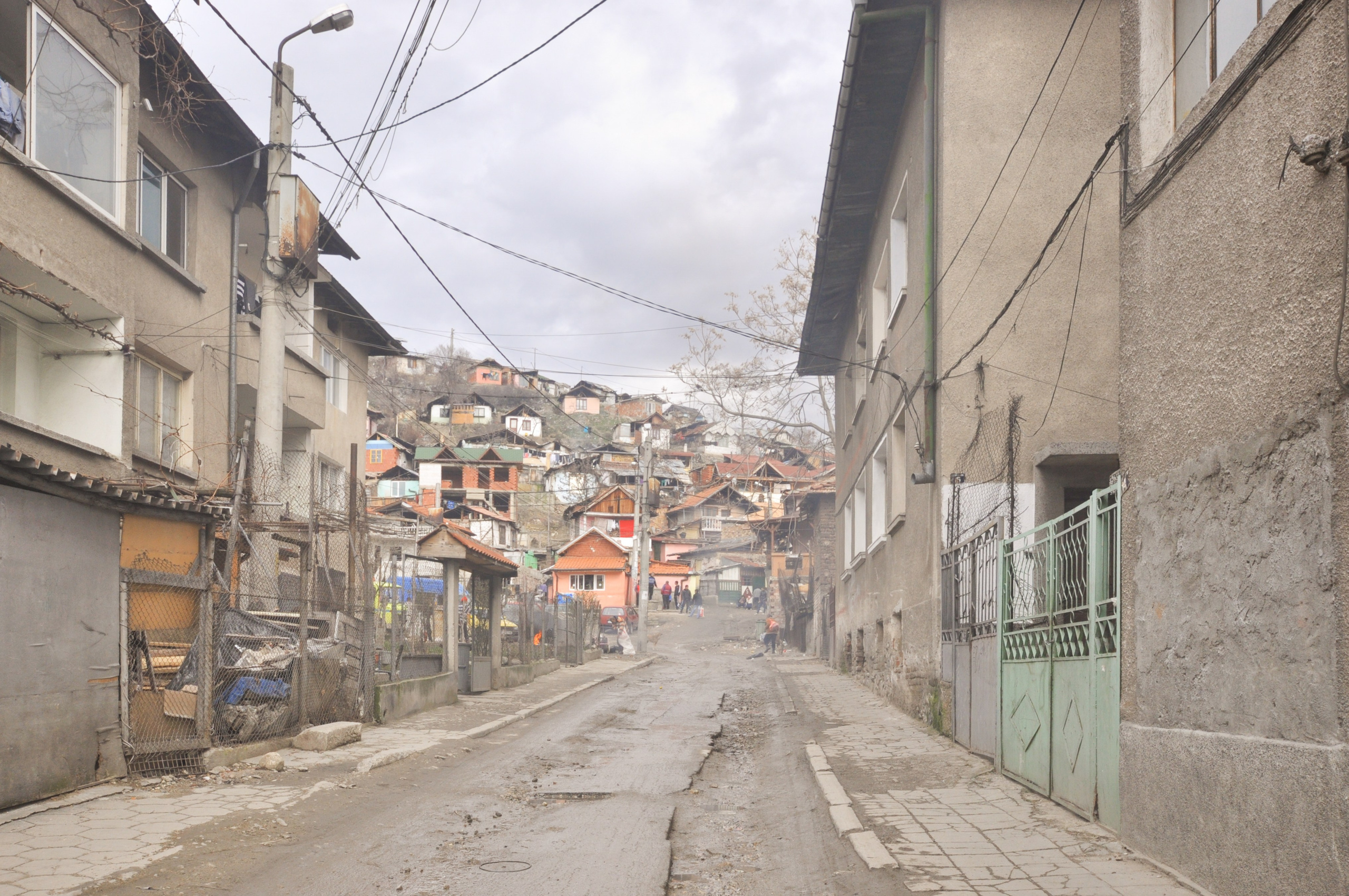 Hope for Cherry Blossom. Mayya Kelova artist