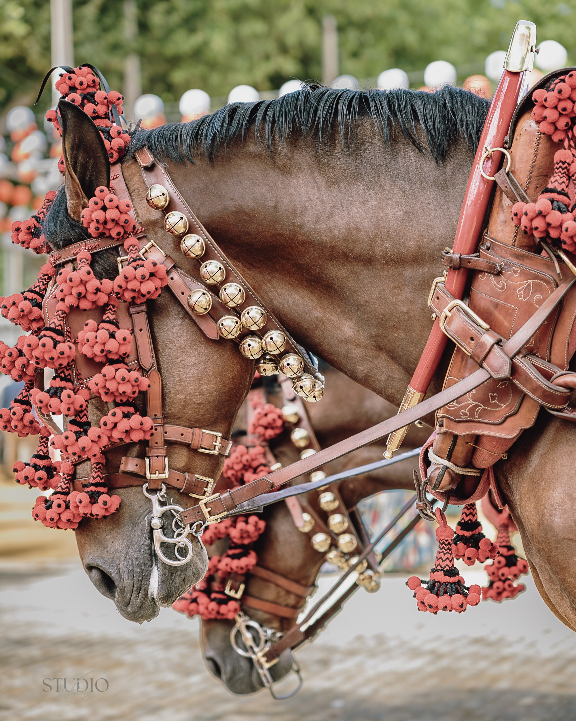 Sesión de fotos en feria de Abril de Sevilla. Inicio