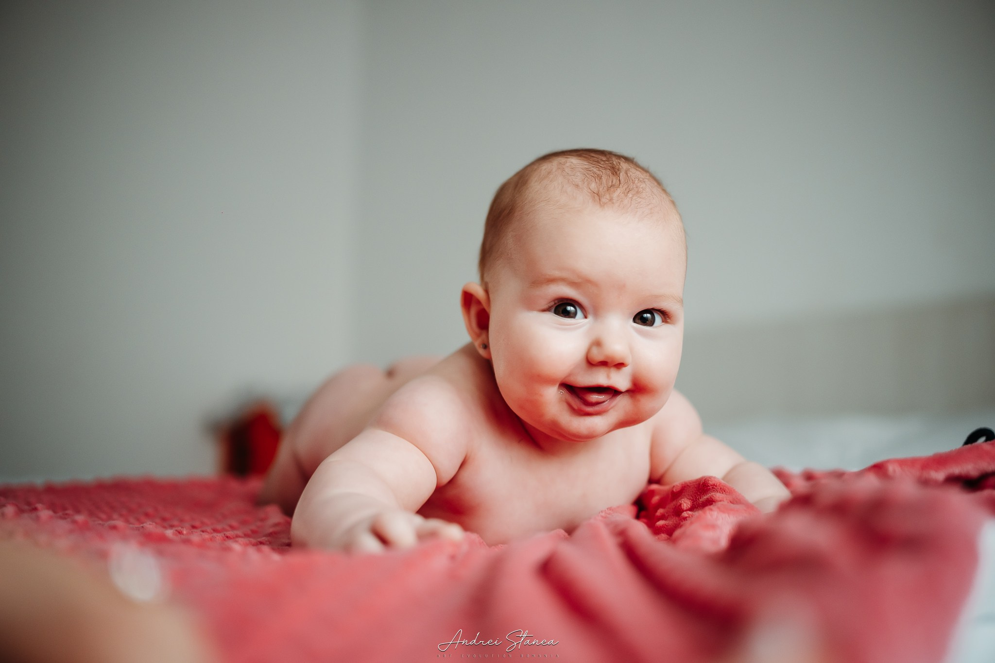 Zenayda. Andrei Stanea