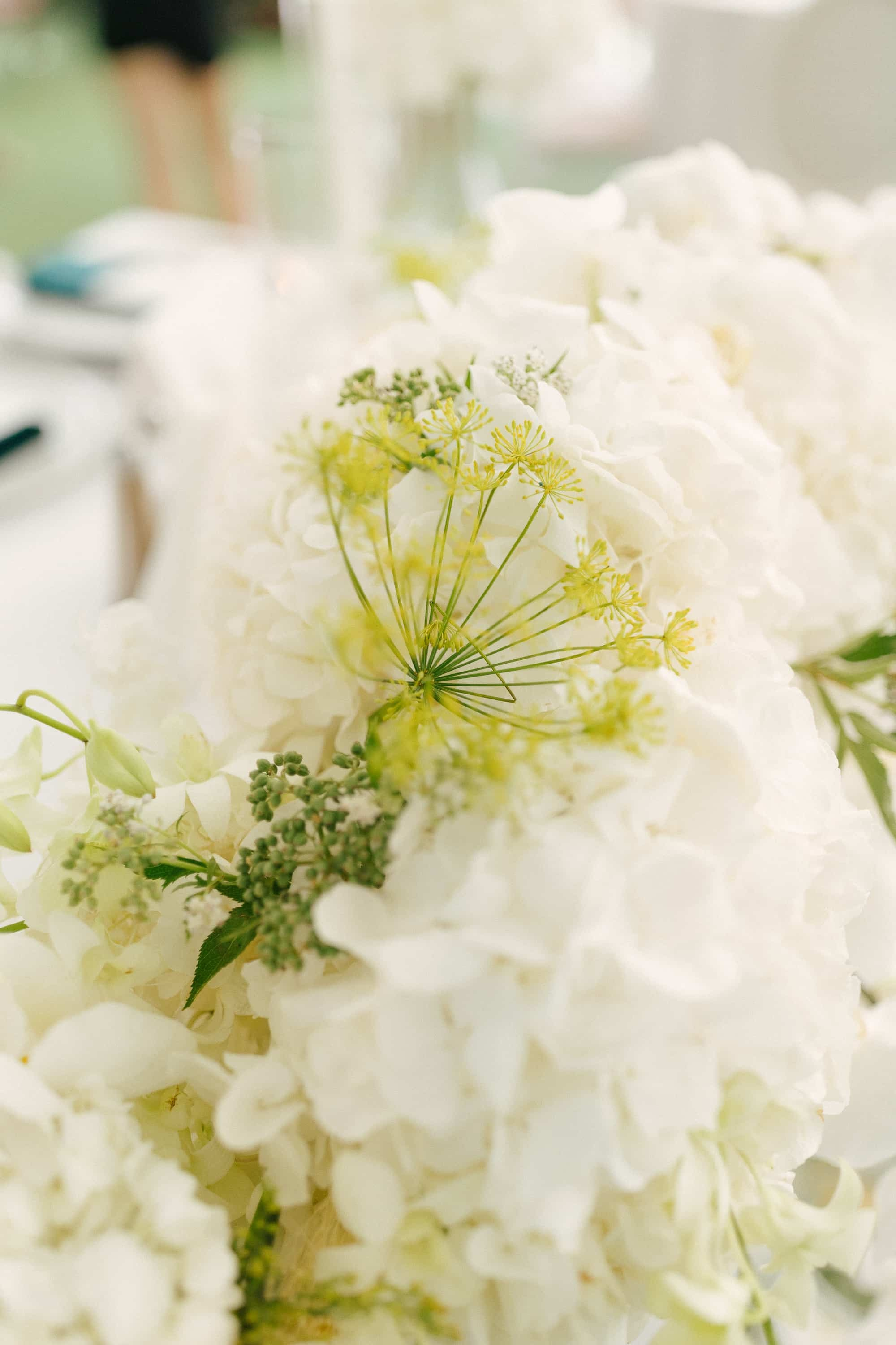 Andreea & Alex | wedding day