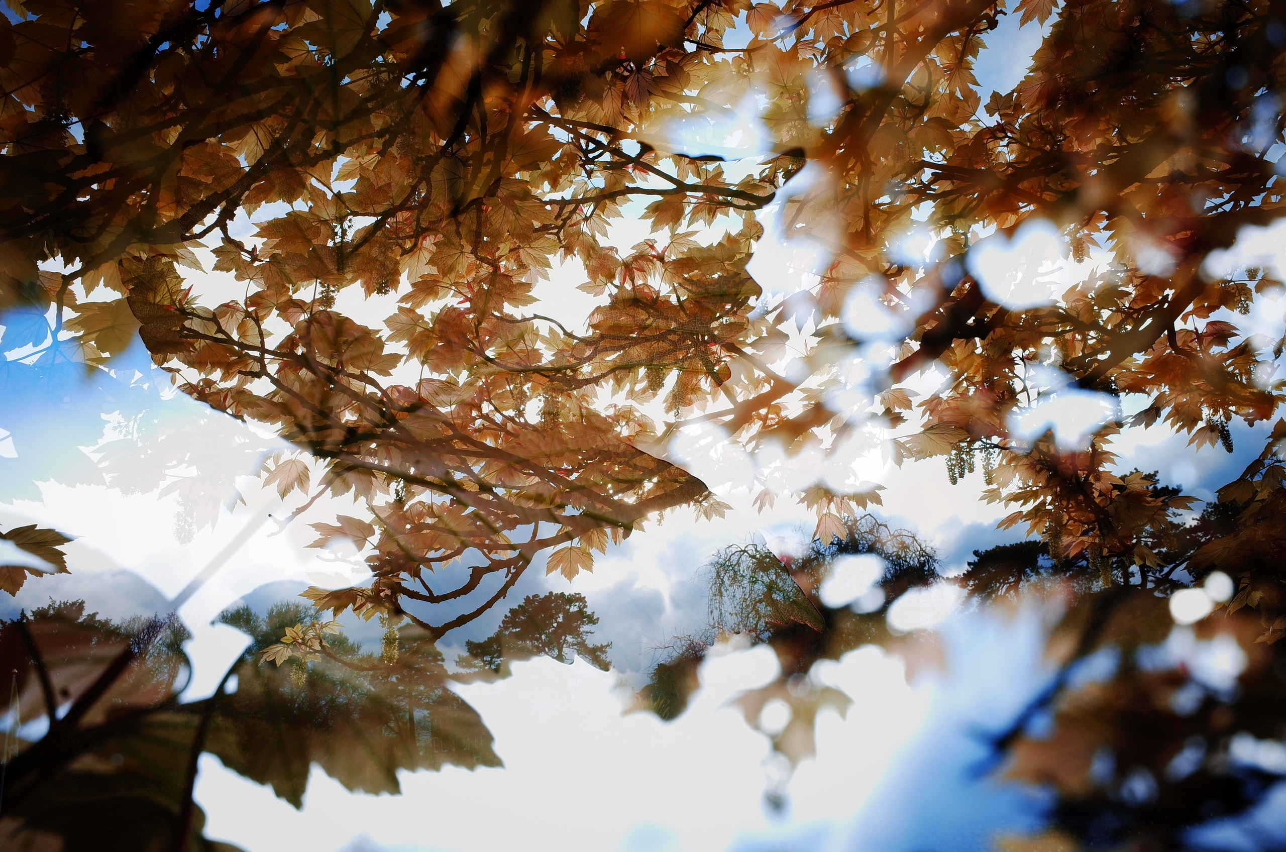 Kingsnorth in Gold. Victoria Dini. Art photography in London / Folkestone, UK