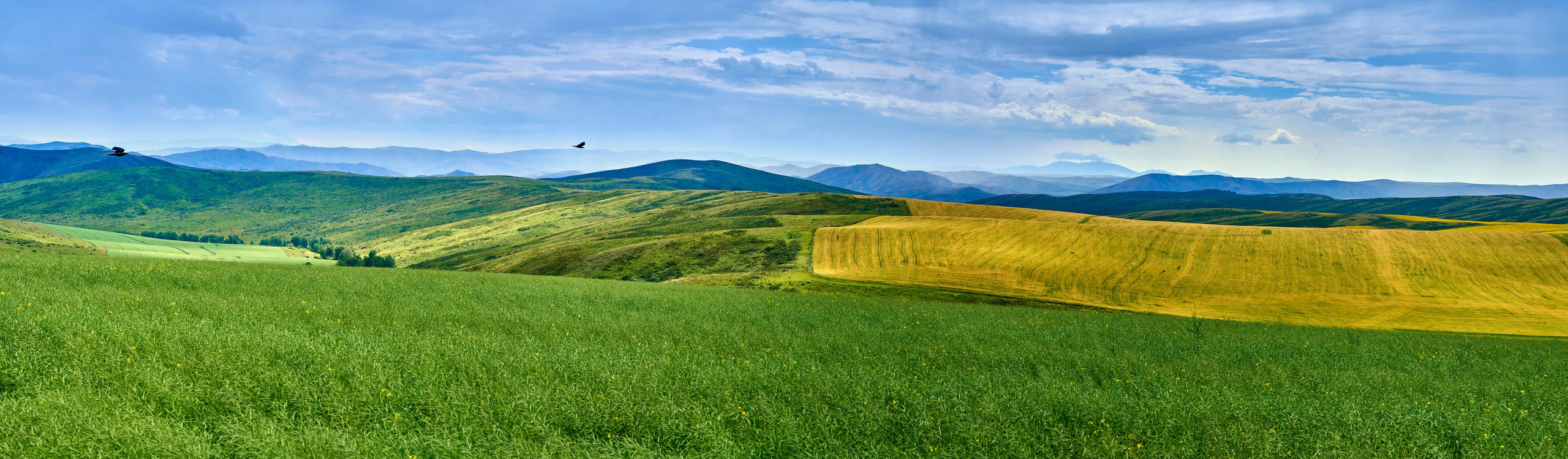 Бухтарма. Андрей Шипилов — Фотография & Видеография
