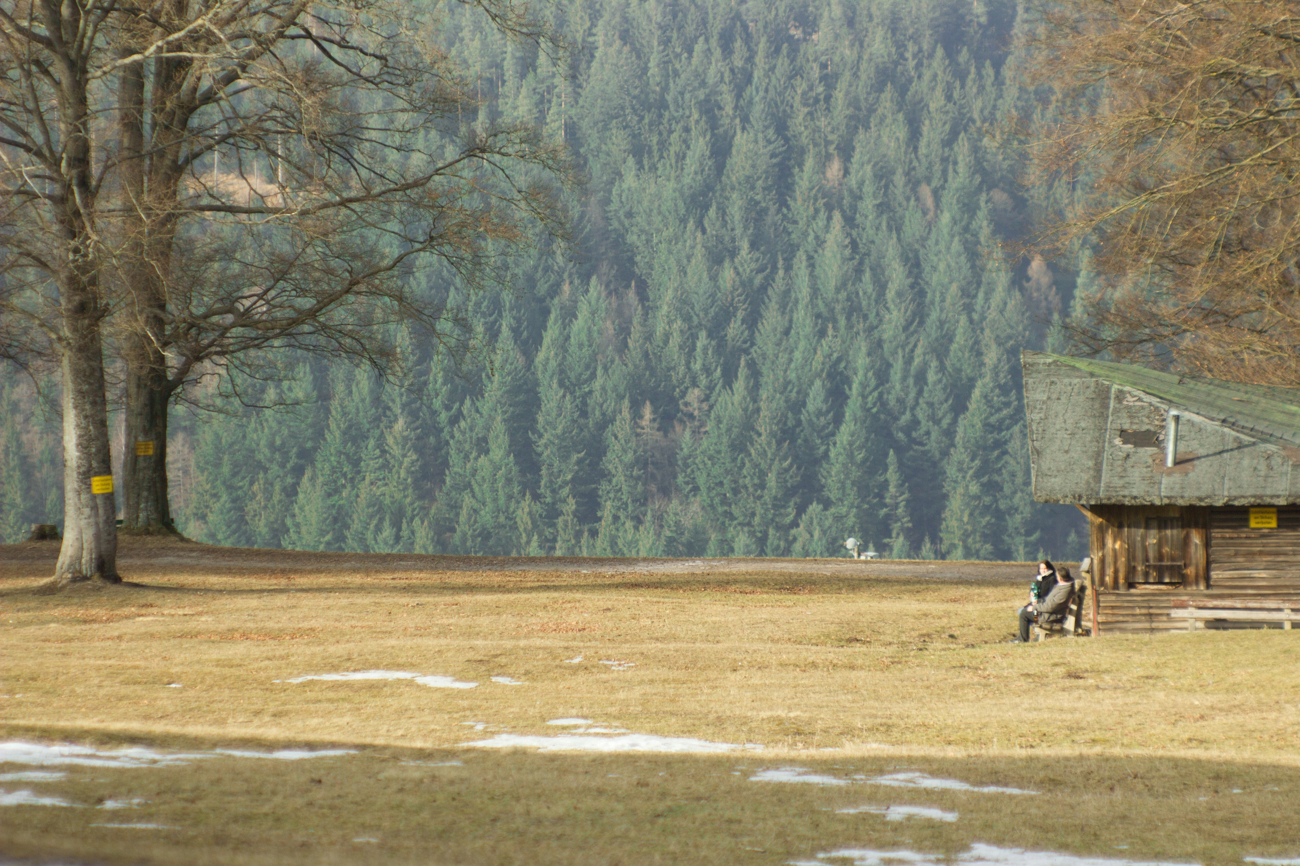 Над вершинами деревьев Baumwipfelpfad. Фотограф в Германии — Мария Чистякова