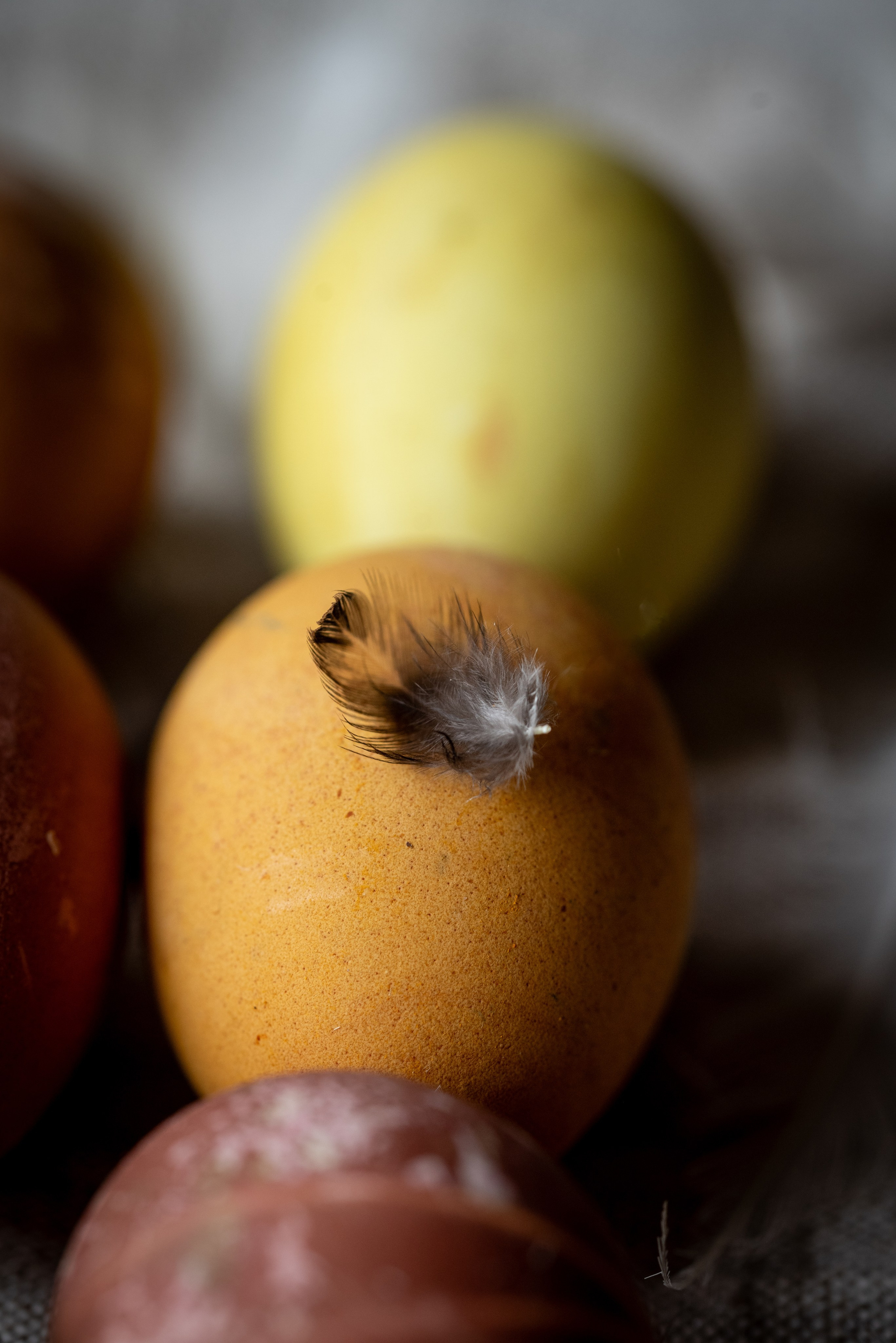 Ei. Familienfotografin aus Sterzing Elena Muehlsteiger