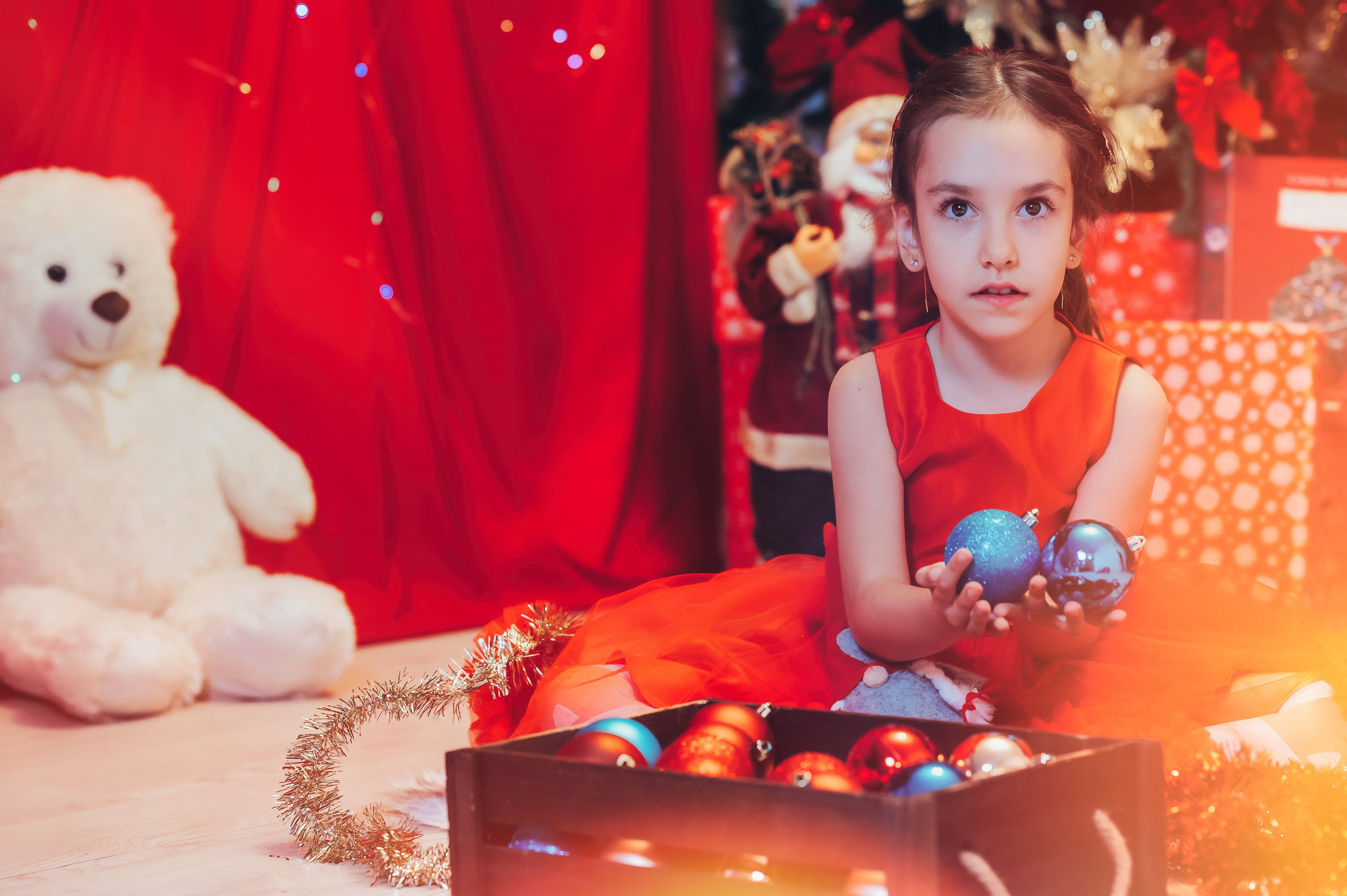 Sedinta Craciun Sofia