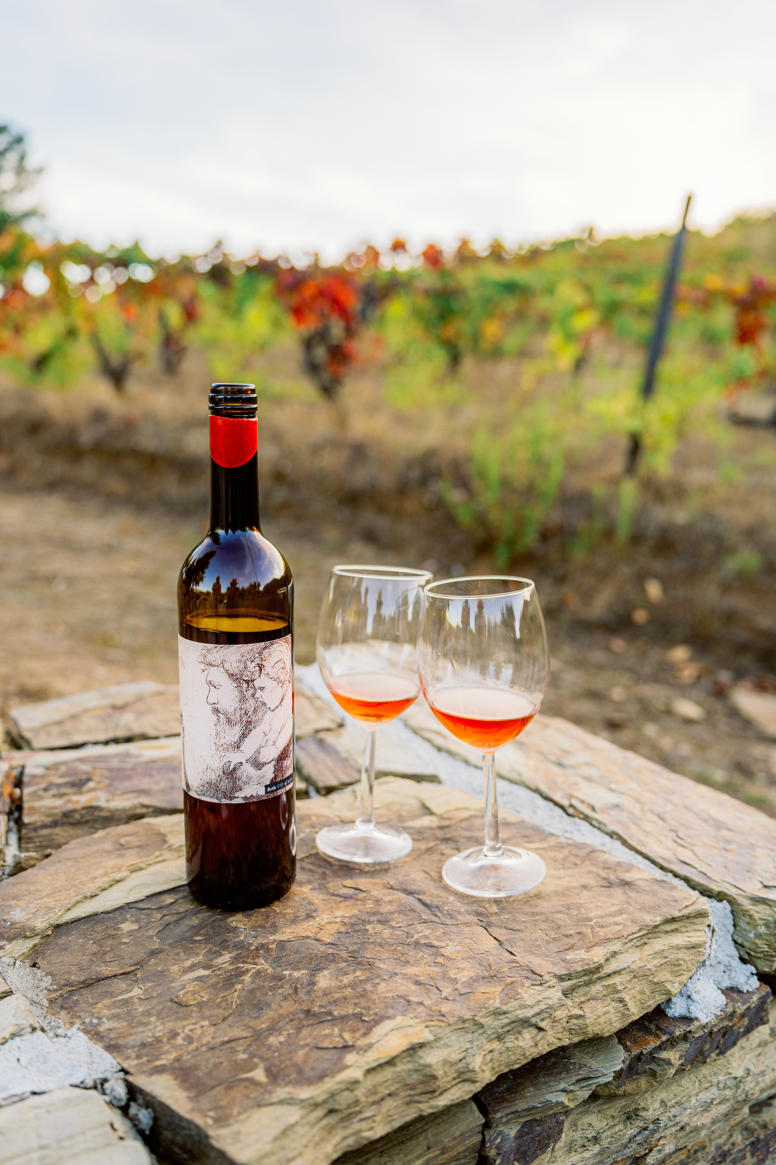 Долина Дору: портвейны и история