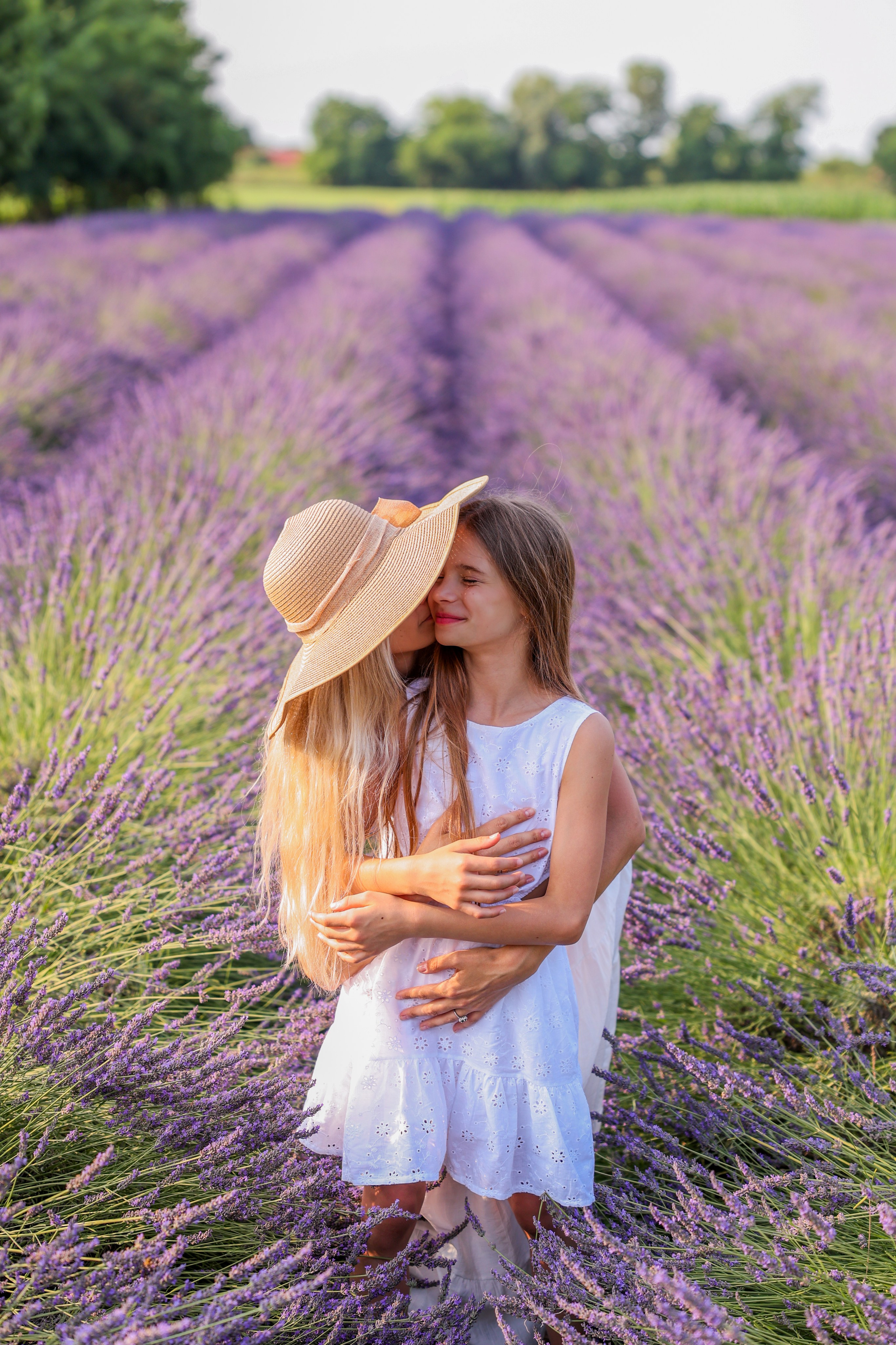 Lavanda. Photographer, Videomaker, Drone, Padova, Venice, Italy, Elena Radchenko