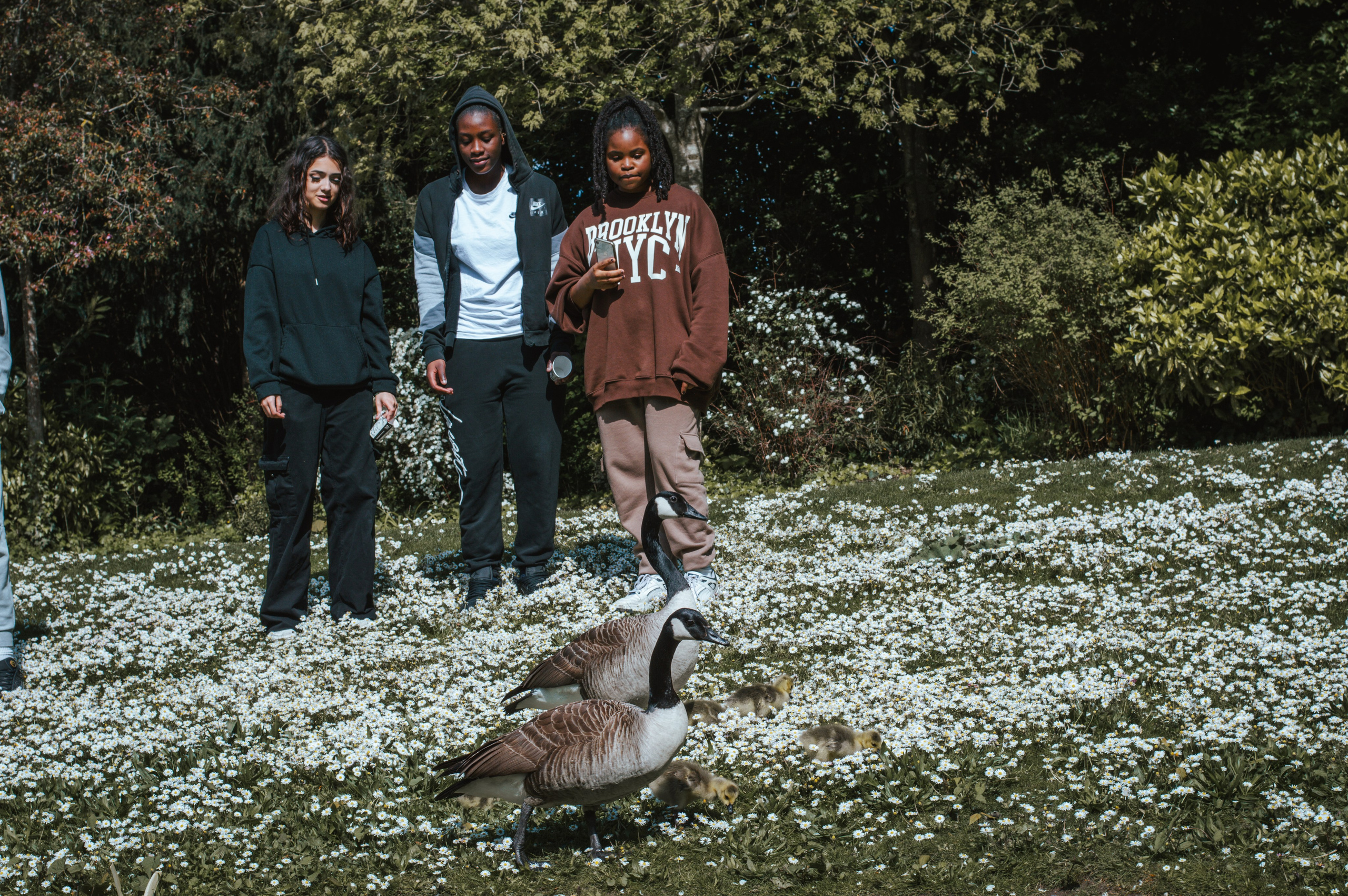 Франция. Анастасия Благова — Твой фотограф в Малаге 🇪🇸