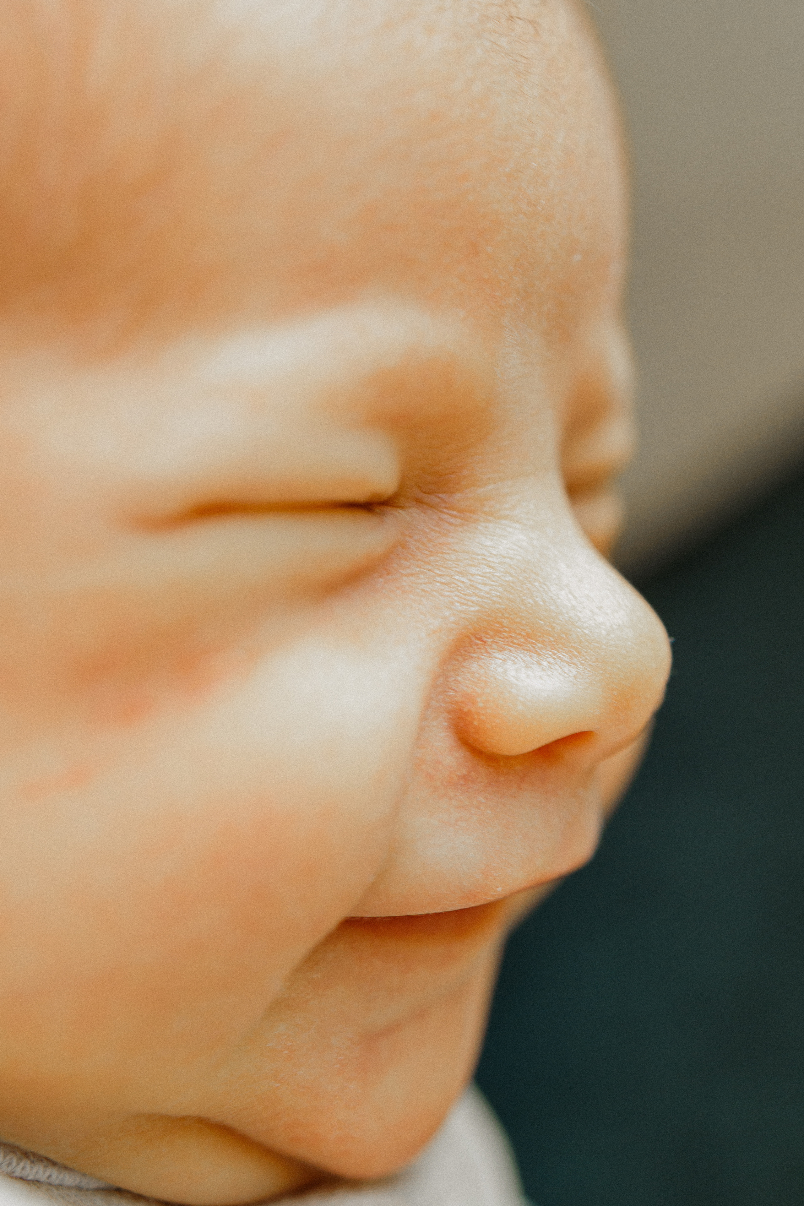 NEWBORN LIFESTILE. Professional garden design and photography services in London