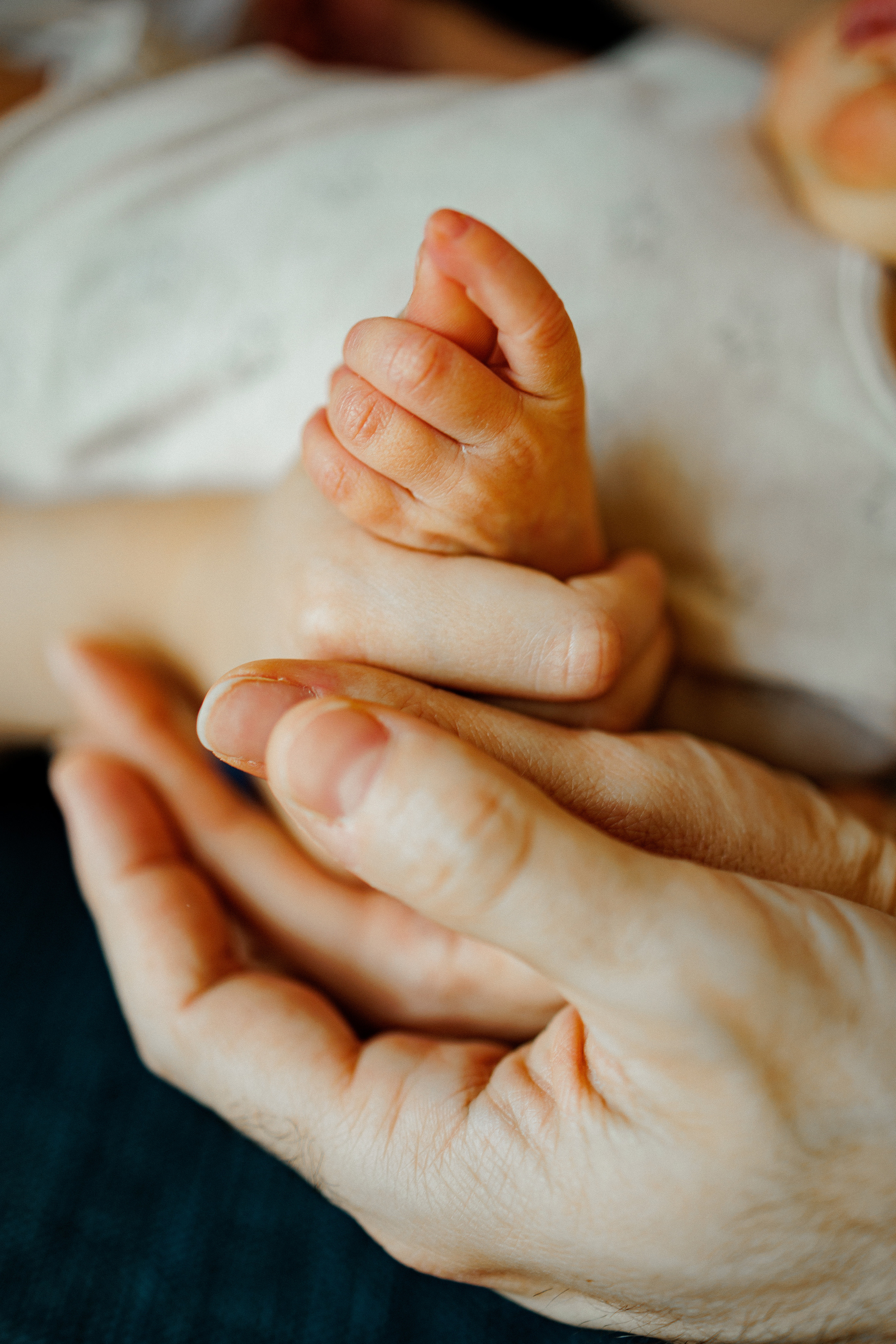 NEWBORN LIFESTILE. Professional garden design and photography services in London