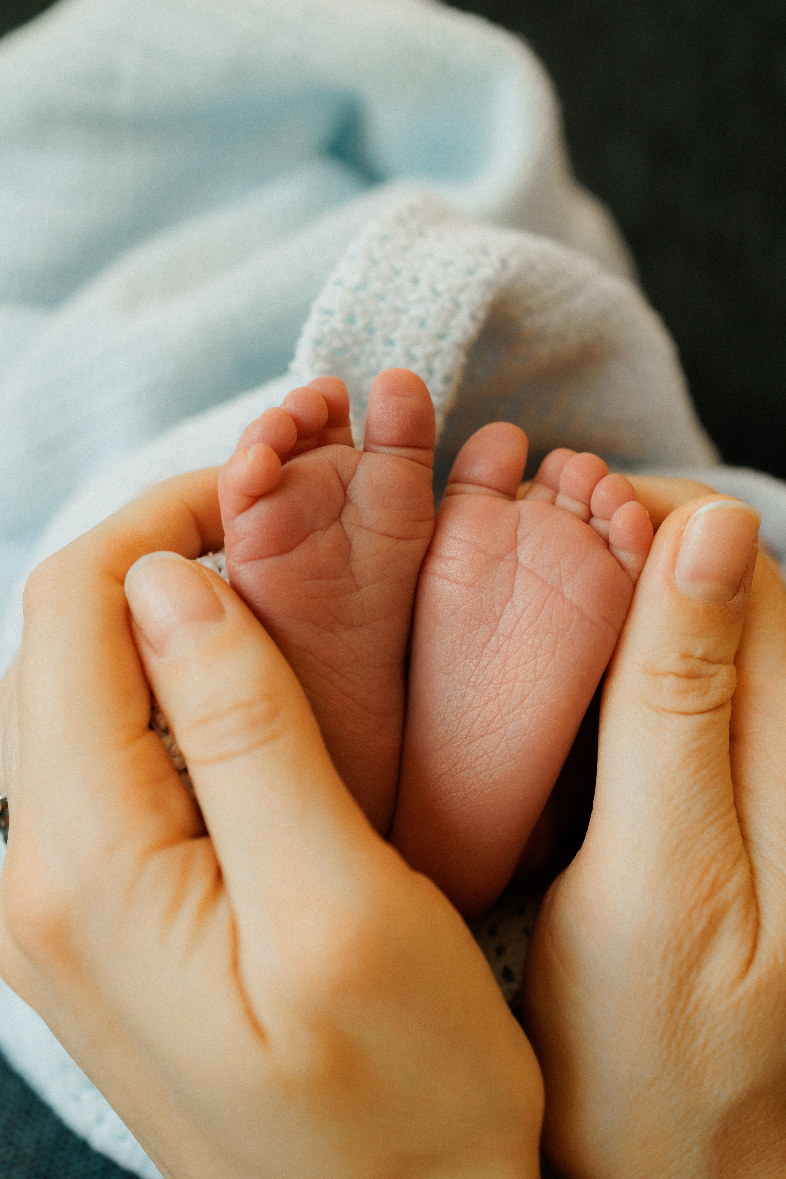 NEWBORN LIFESTILE. Professional garden design and photography services in London