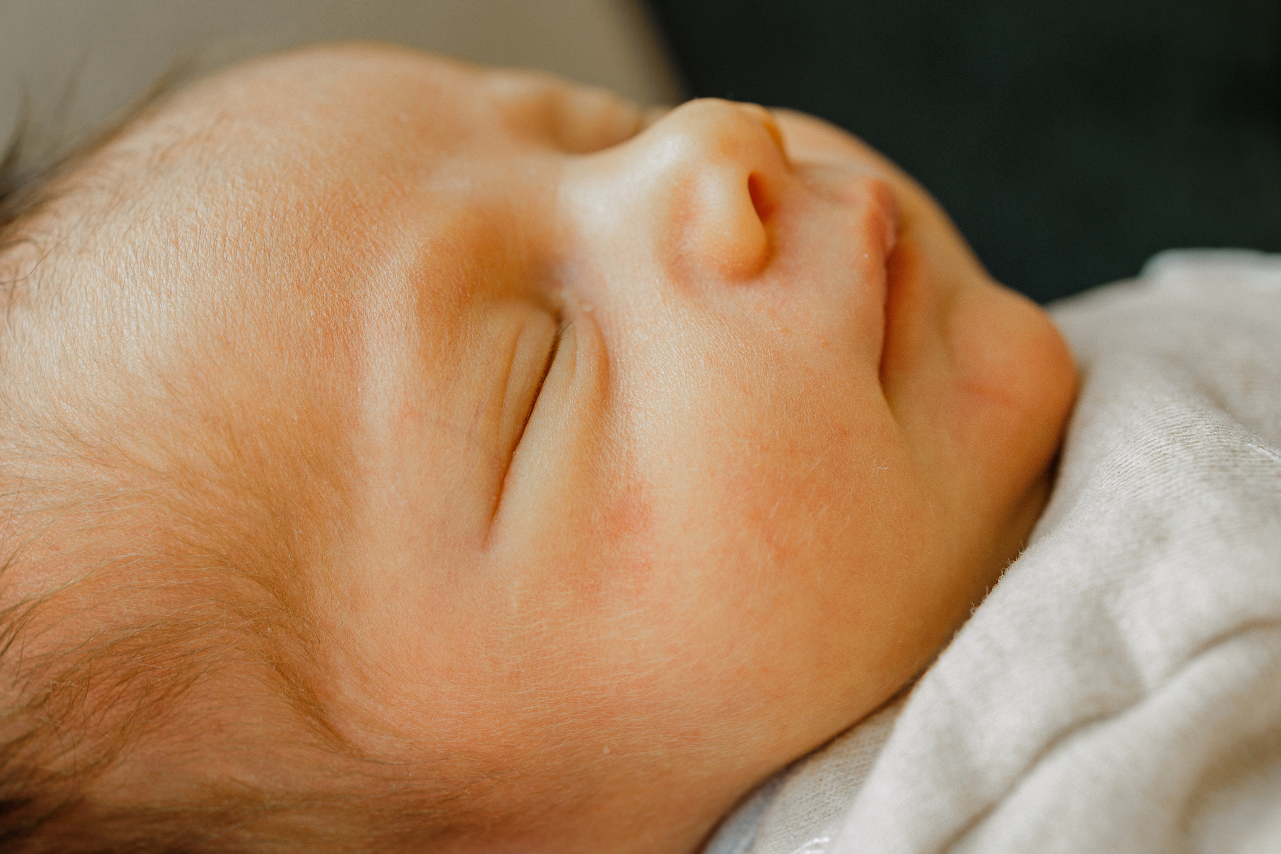 NEWBORN LIFESTILE. Professional garden design and photography services in London