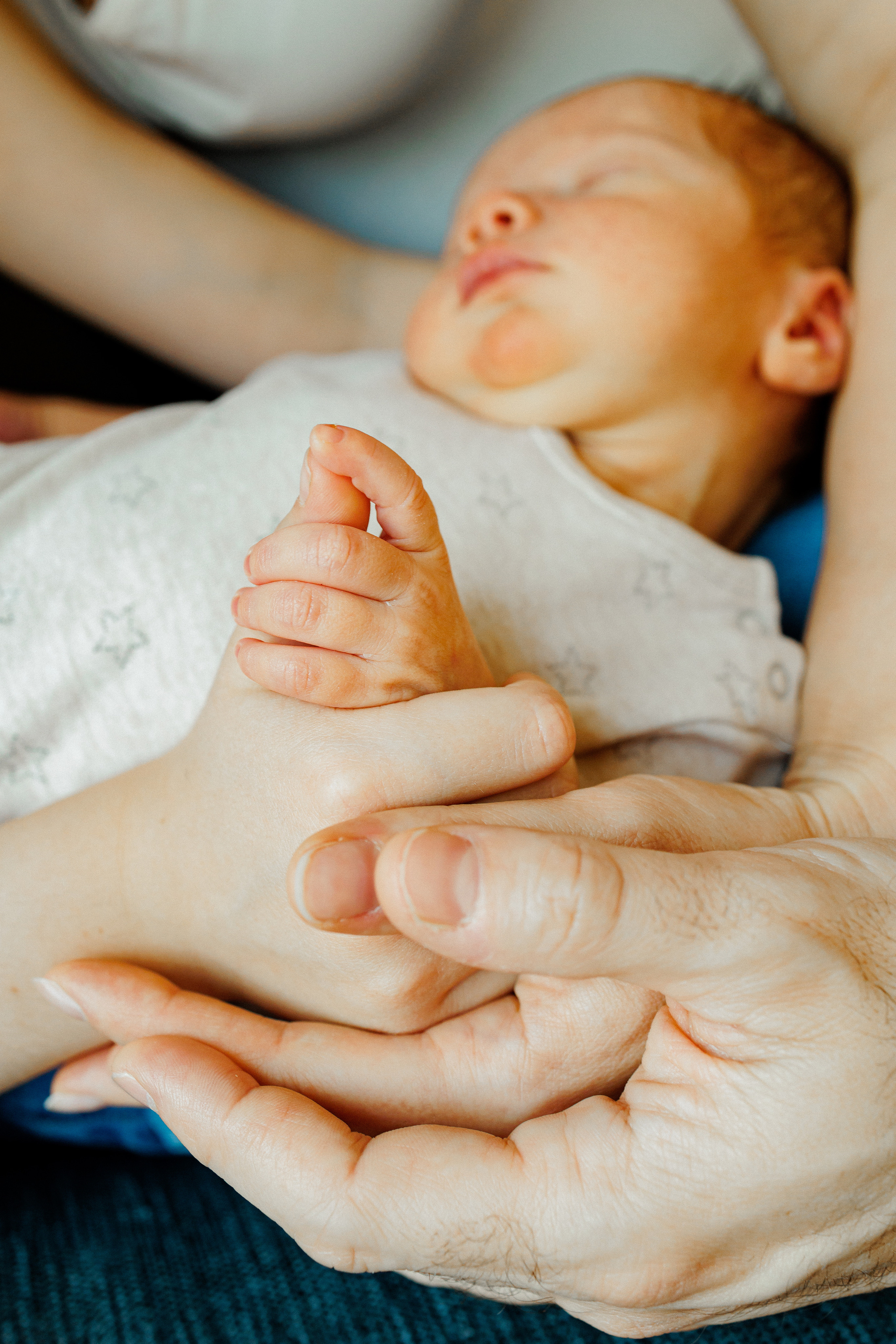 NEWBORN LIFESTILE. Professional garden design and photography services in London