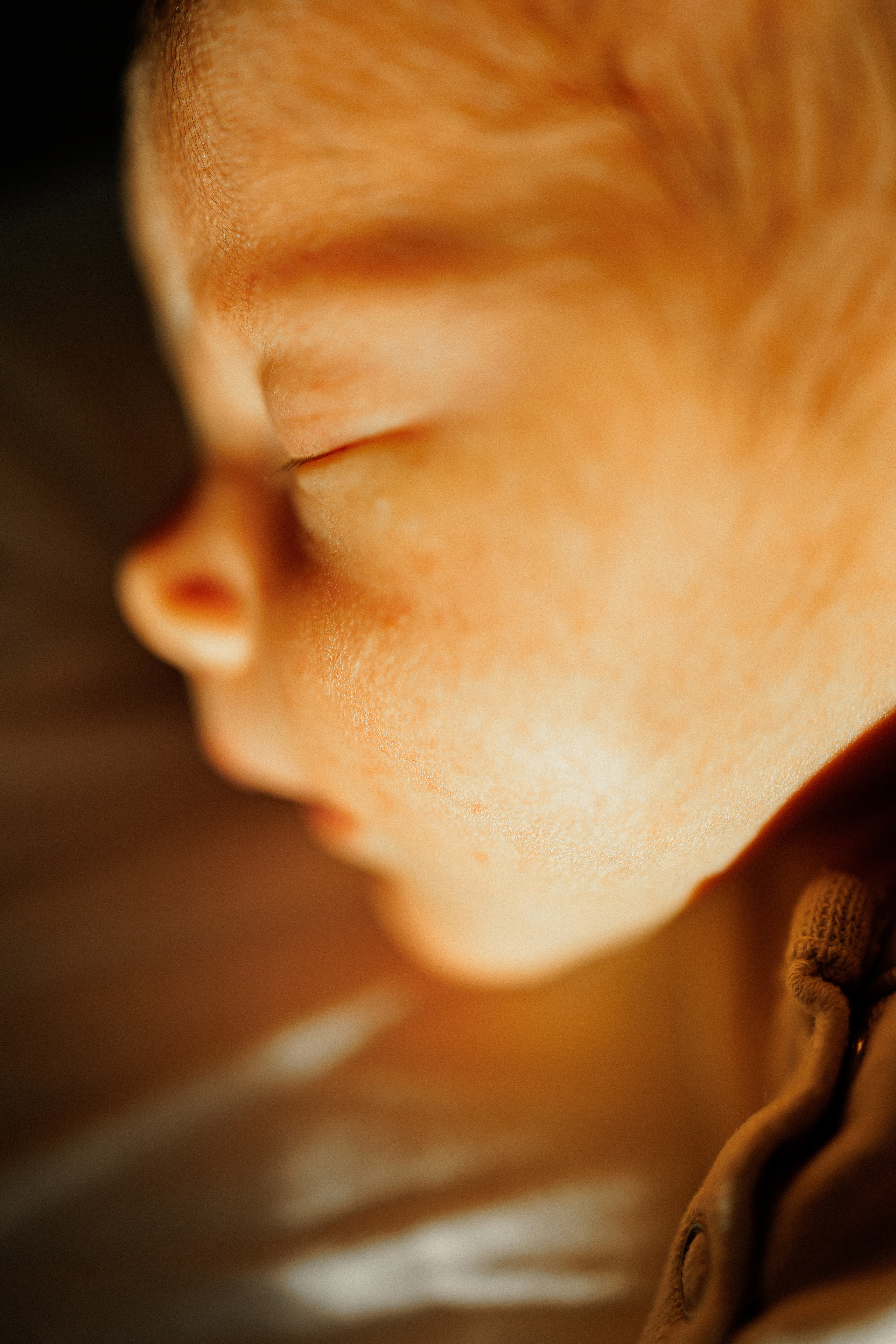 NEWBORN LIFESTILE. Professional garden design and photography services in London