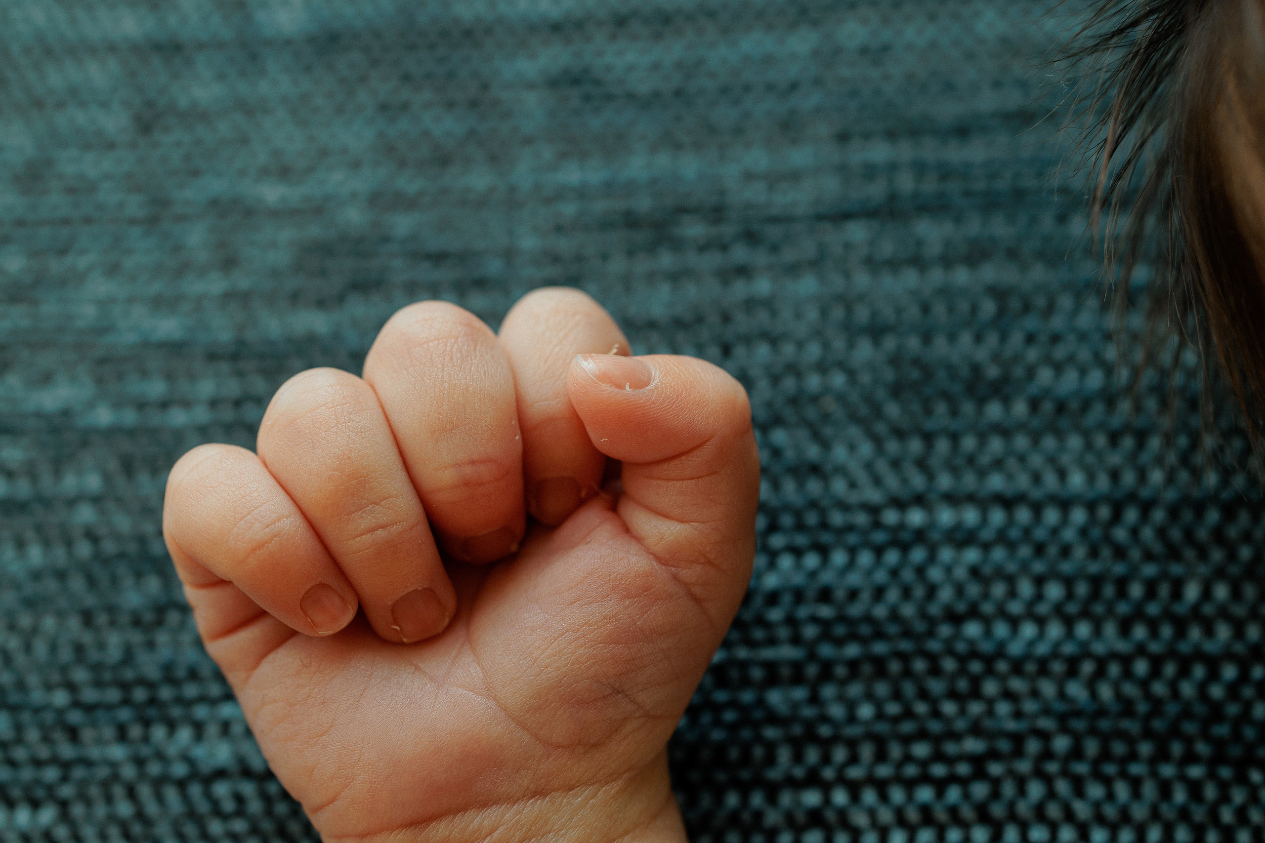 NEWBORN LIFESTILE. Professional garden design and photography services in London