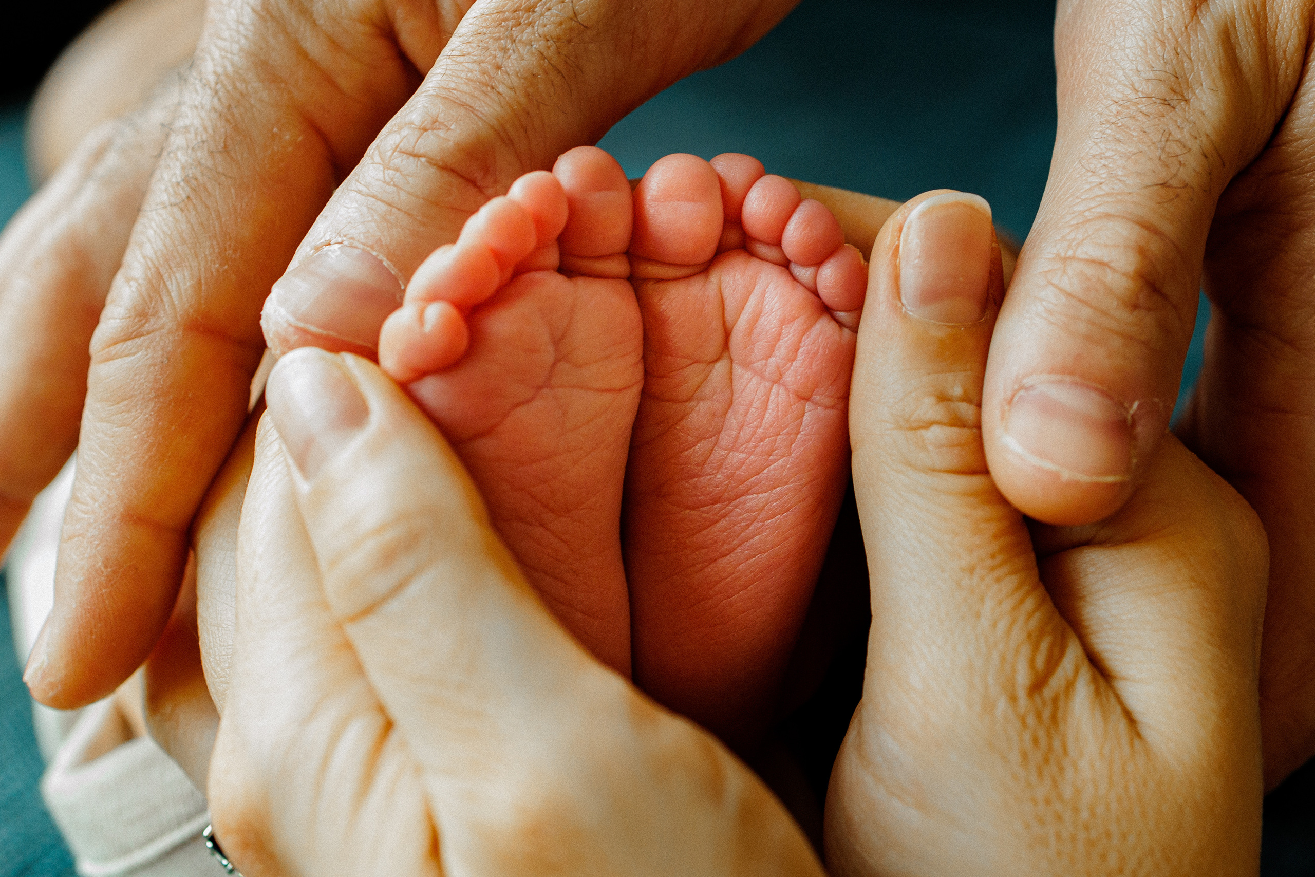 NEWBORN LIFESTILE. Professional garden design and photography services in London