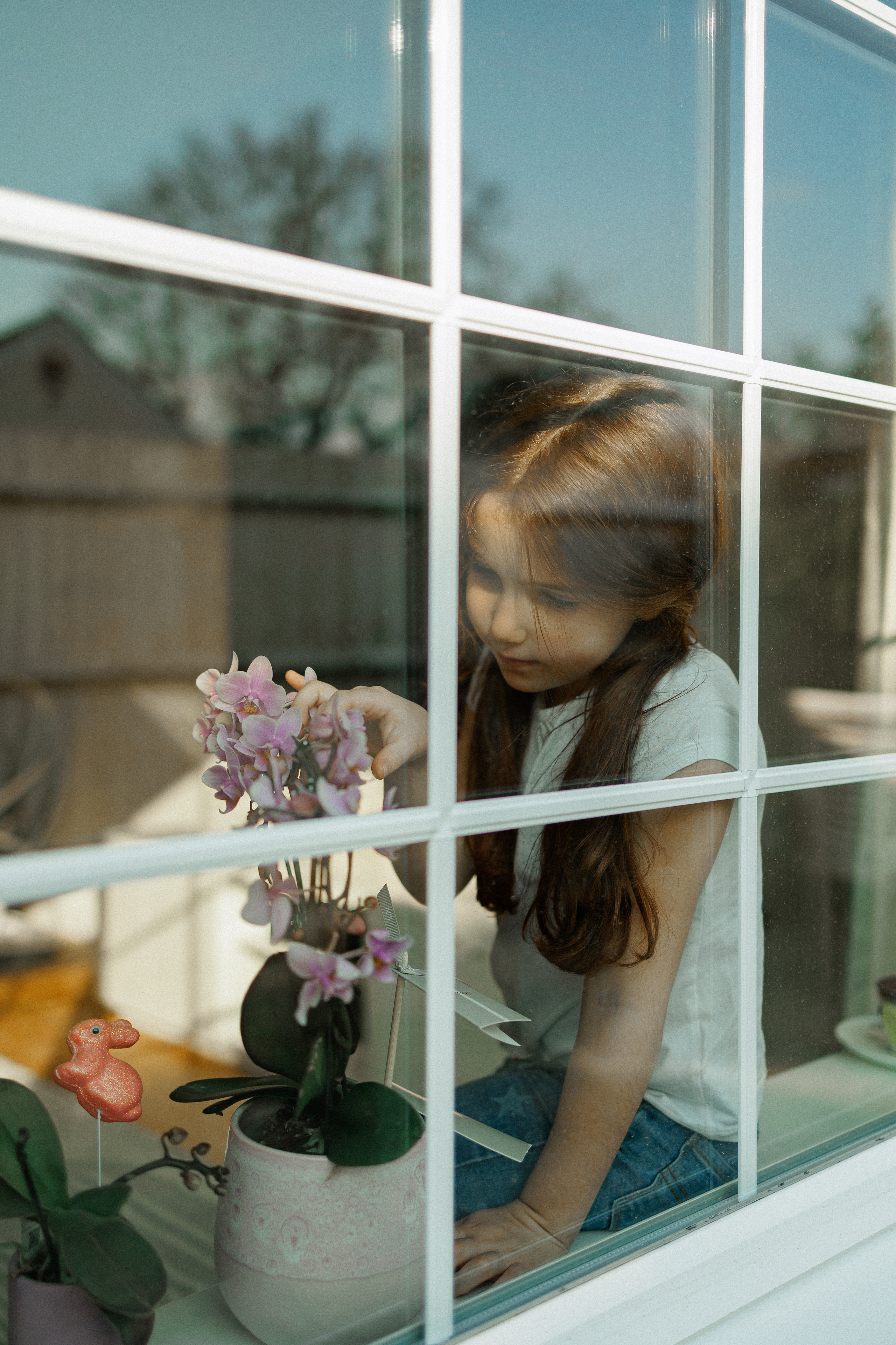 NEWBORN LIFESTILE. Professional garden design and photography services in London