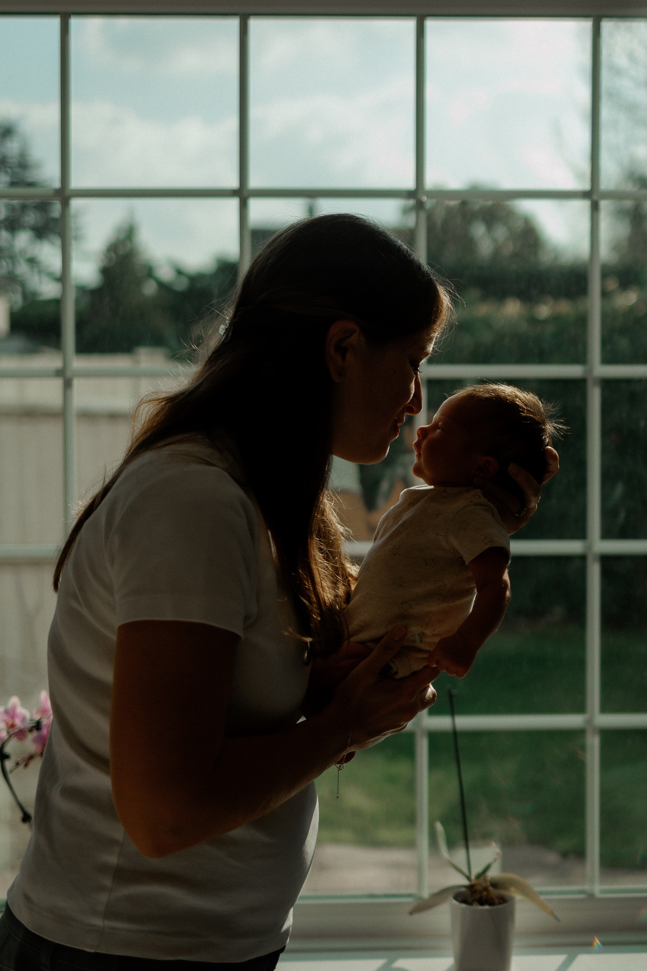 NEWBORN LIFESTILE. Professional garden design and photography services in London