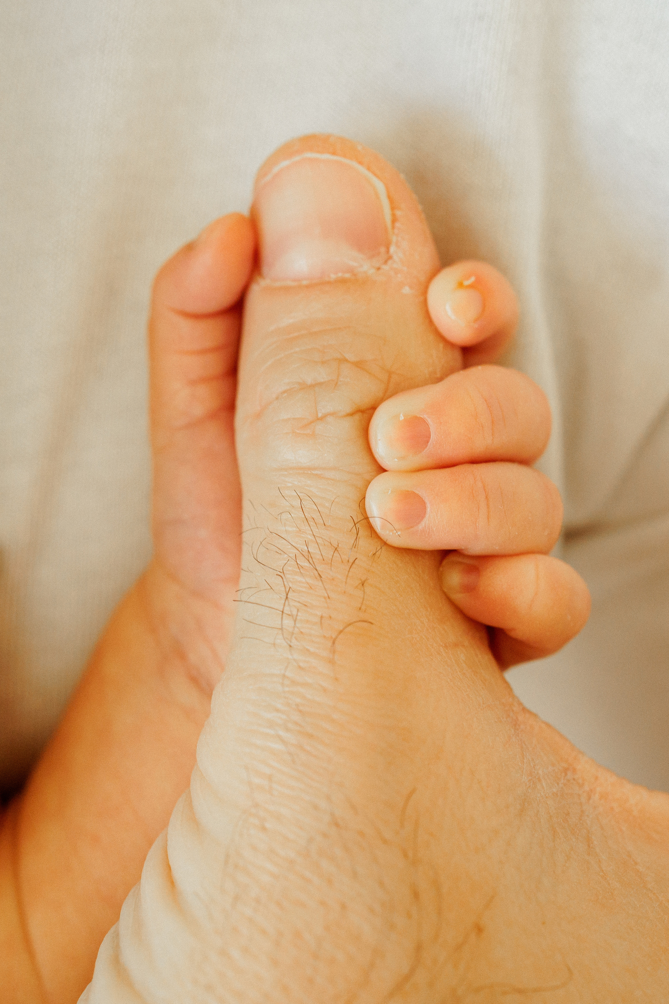 NEWBORN LIFESTILE. Professional garden design and photography services in London